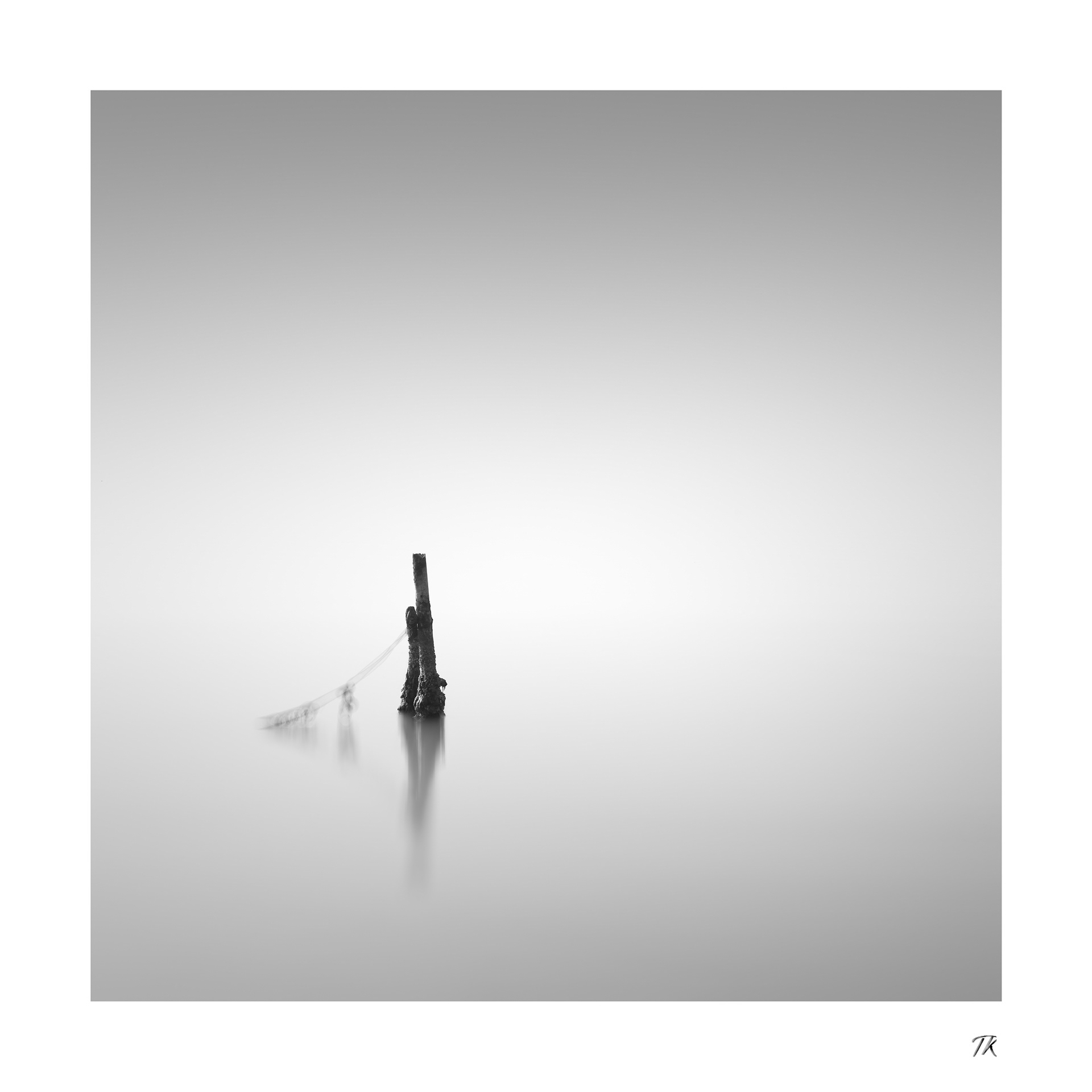 watermark