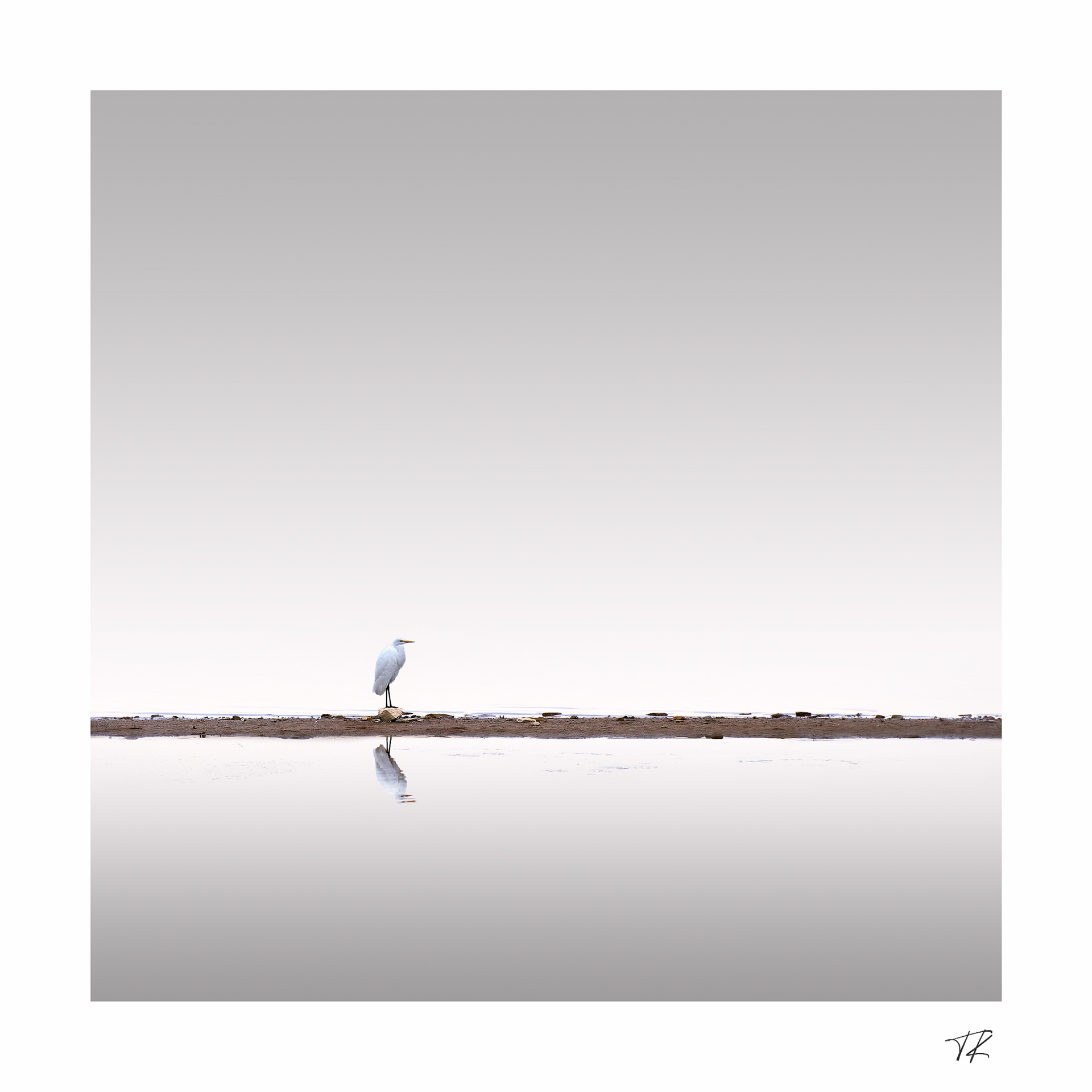 loneliness on thin land