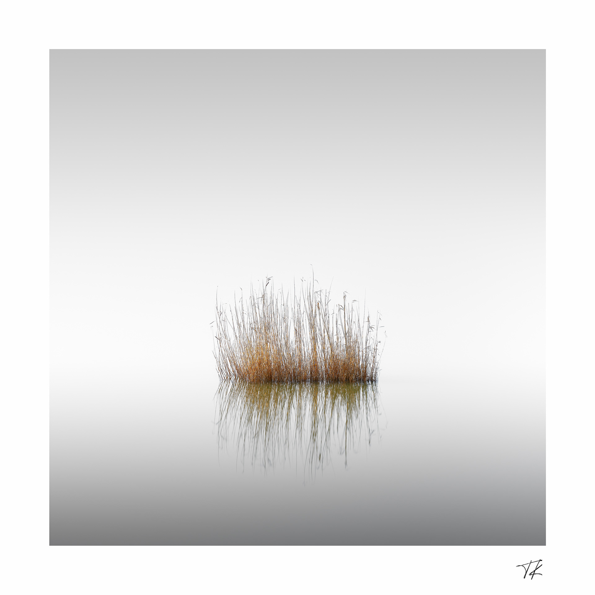reeds toouching the void
