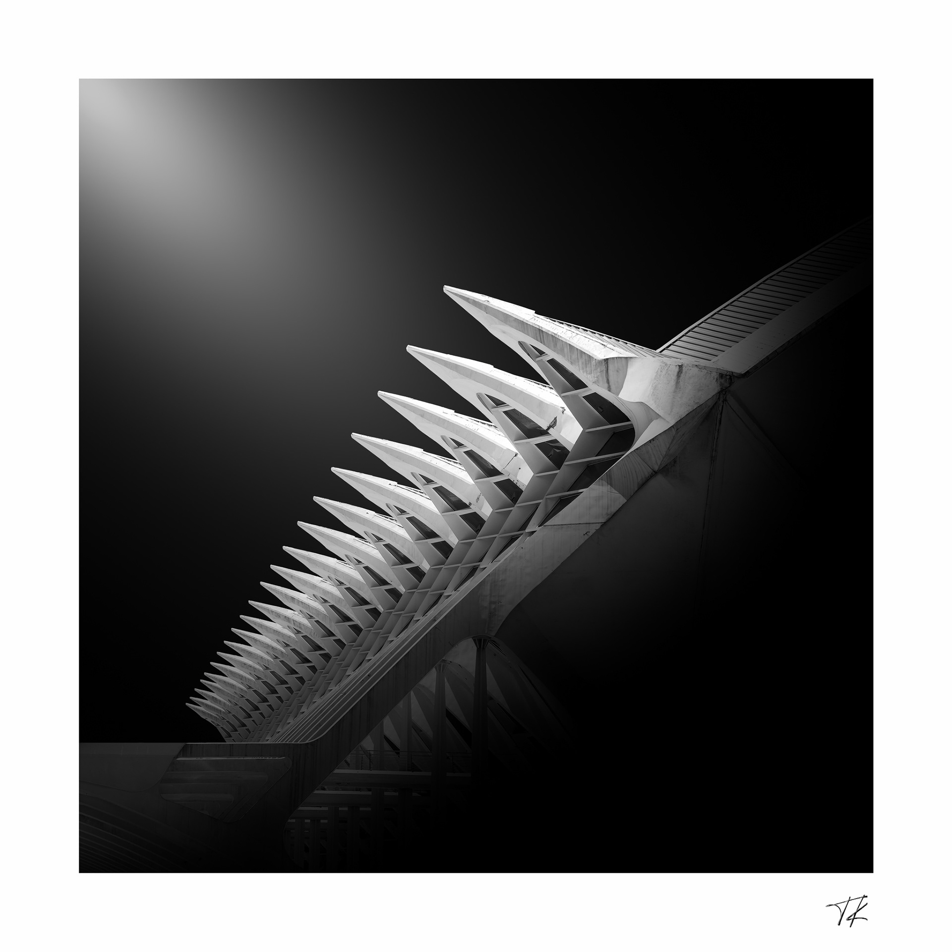 spine of Auditorio