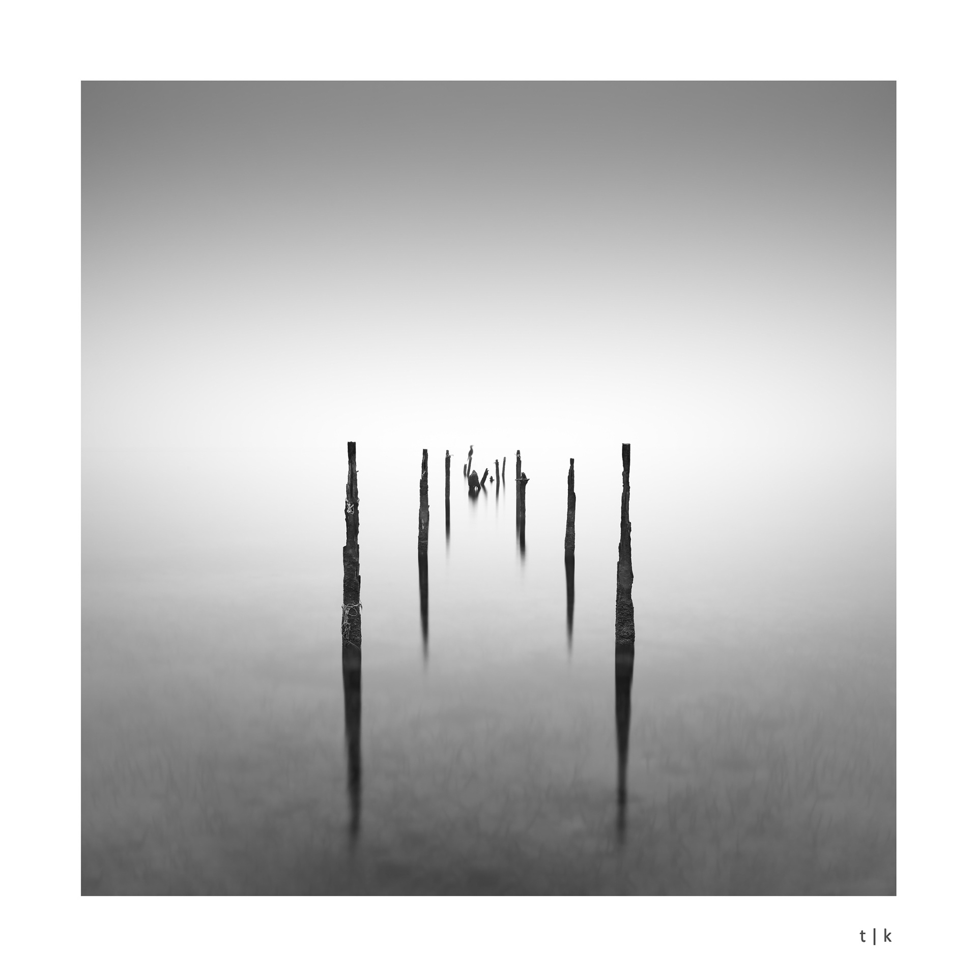 black needles
