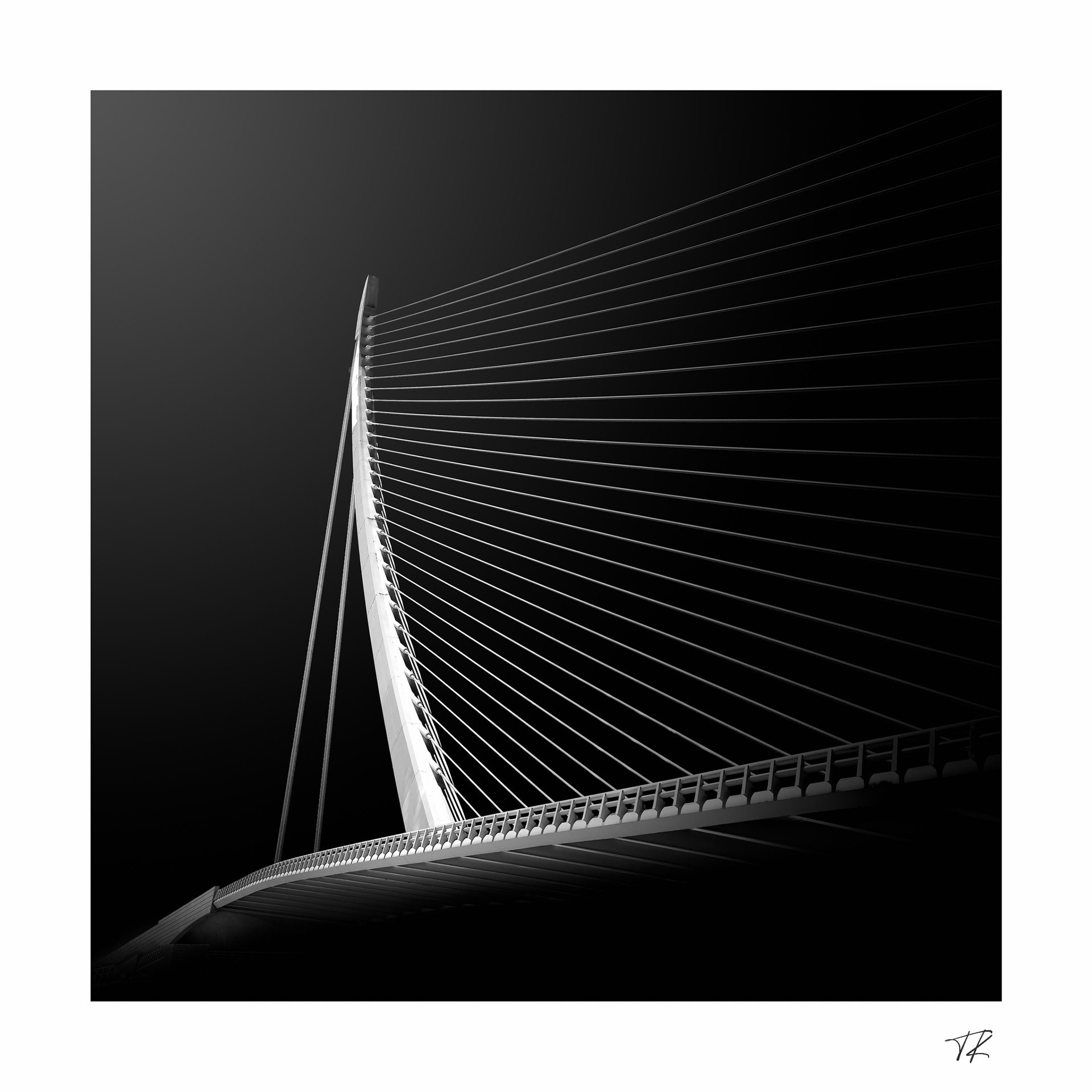 dusk harp