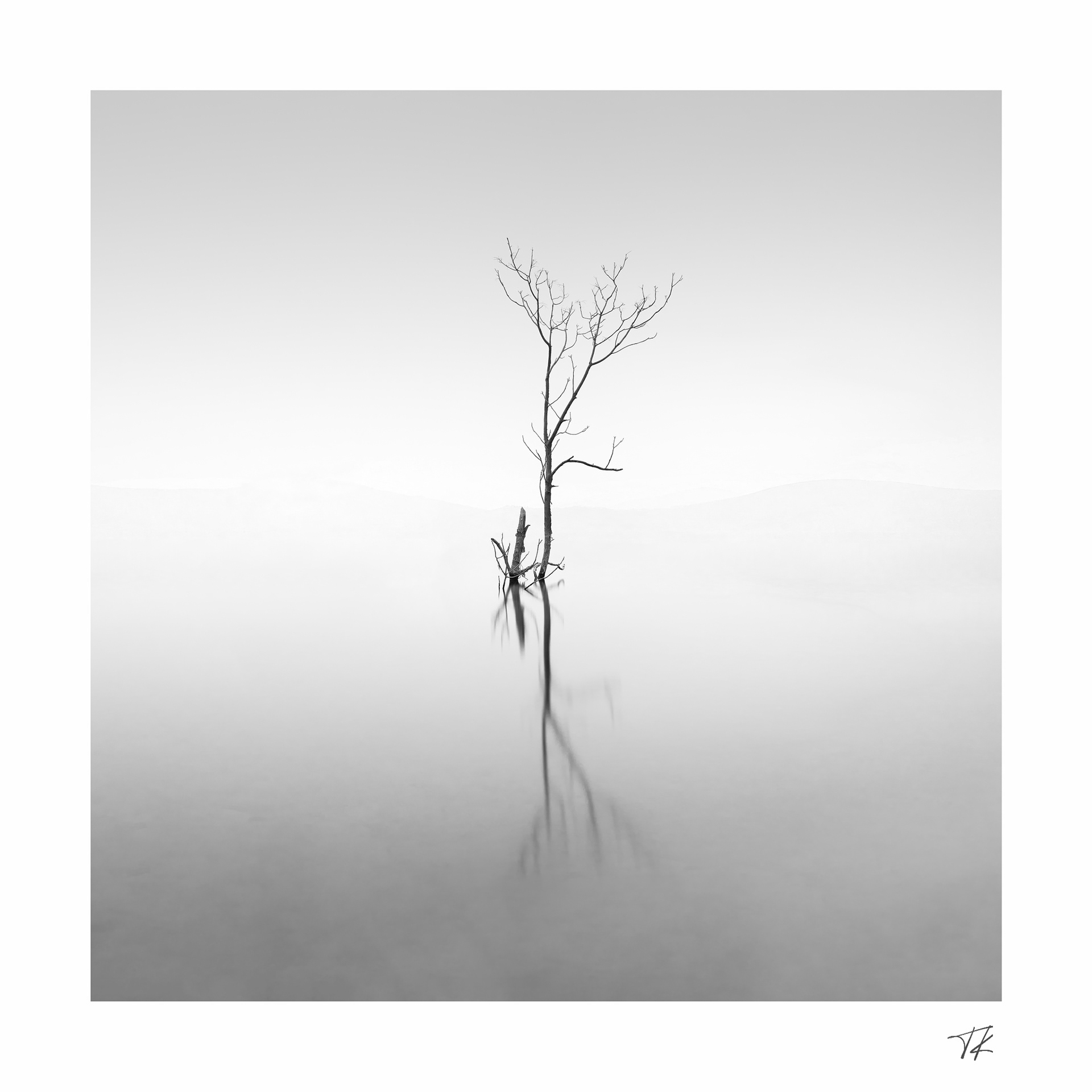 deluge