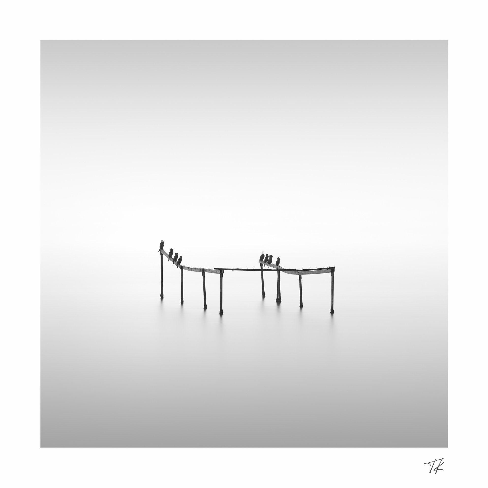 spectators