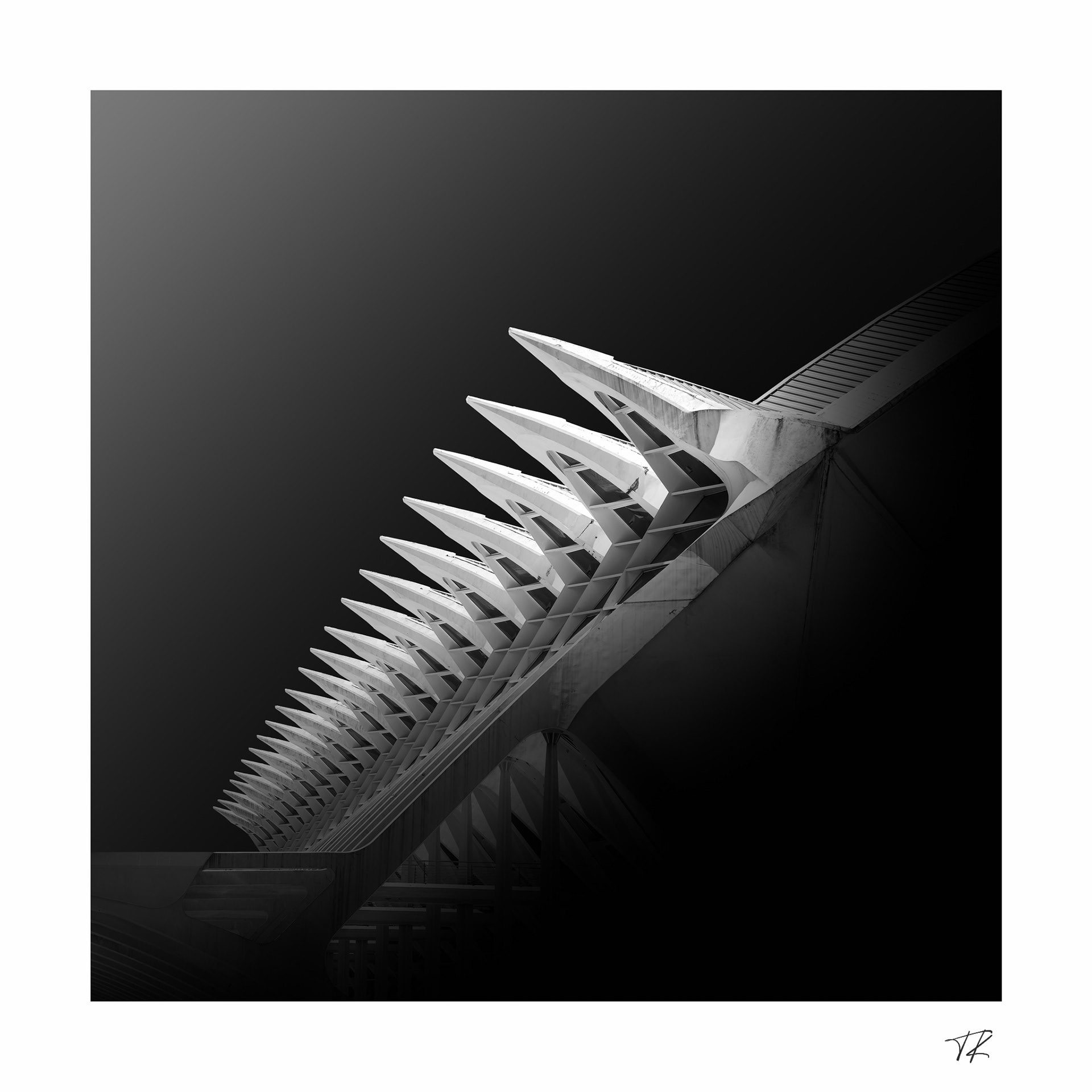 spine of Auditorio