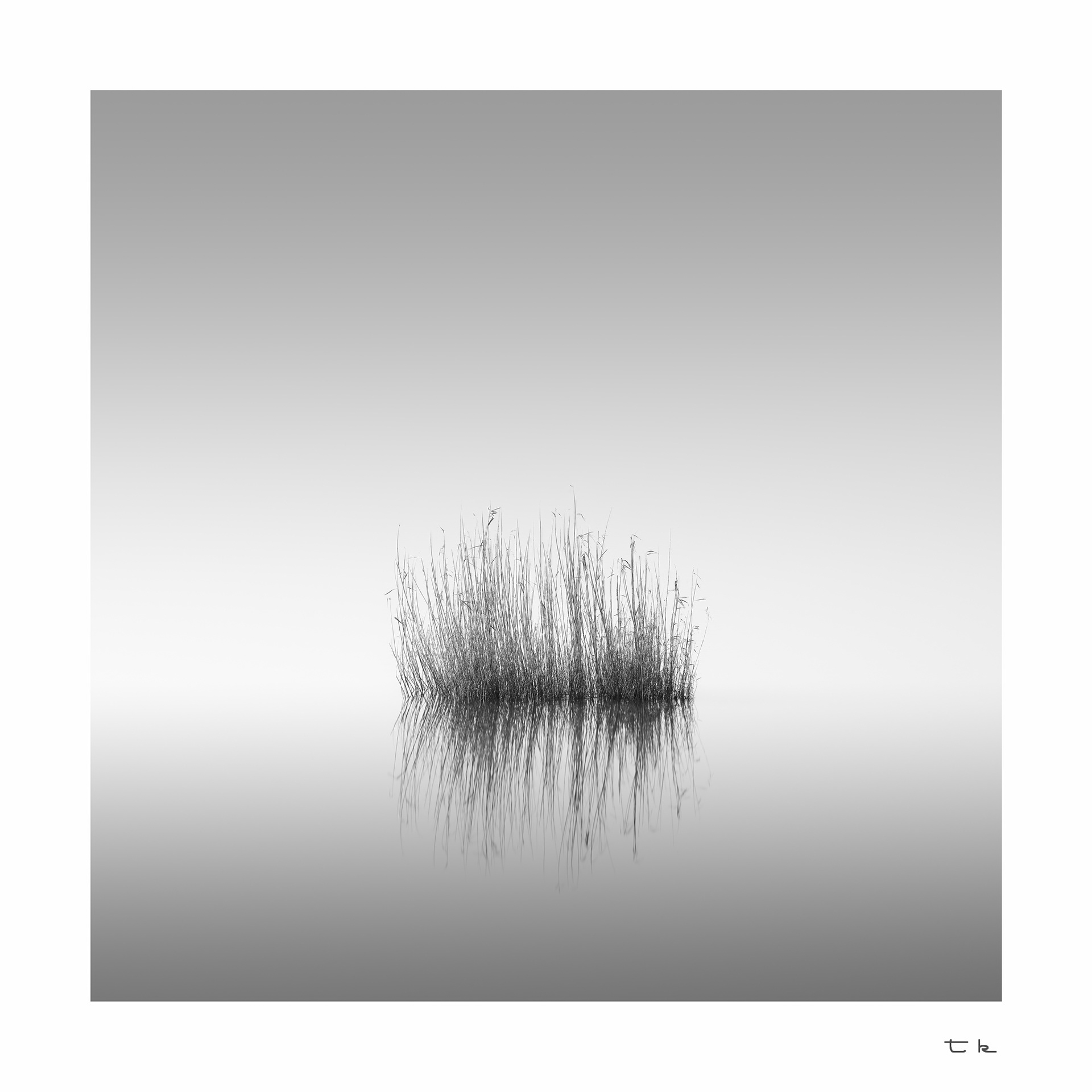 reeds touching the void
