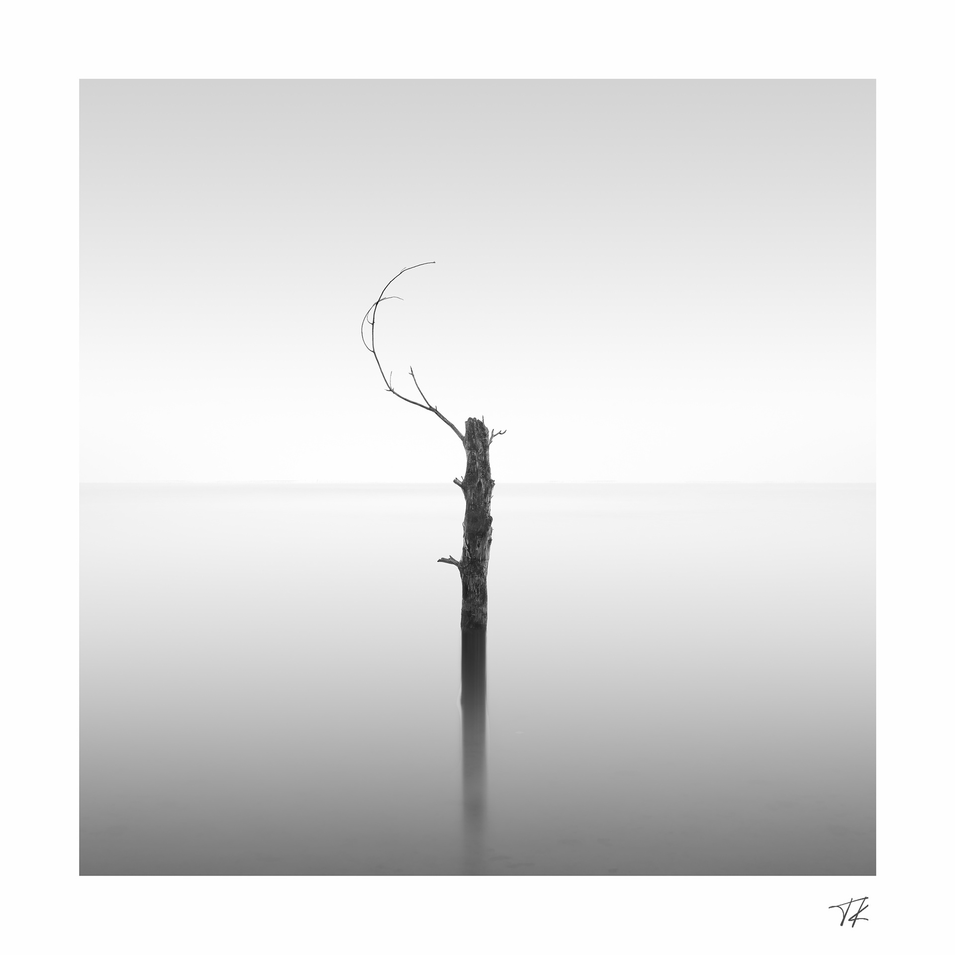 fortitude