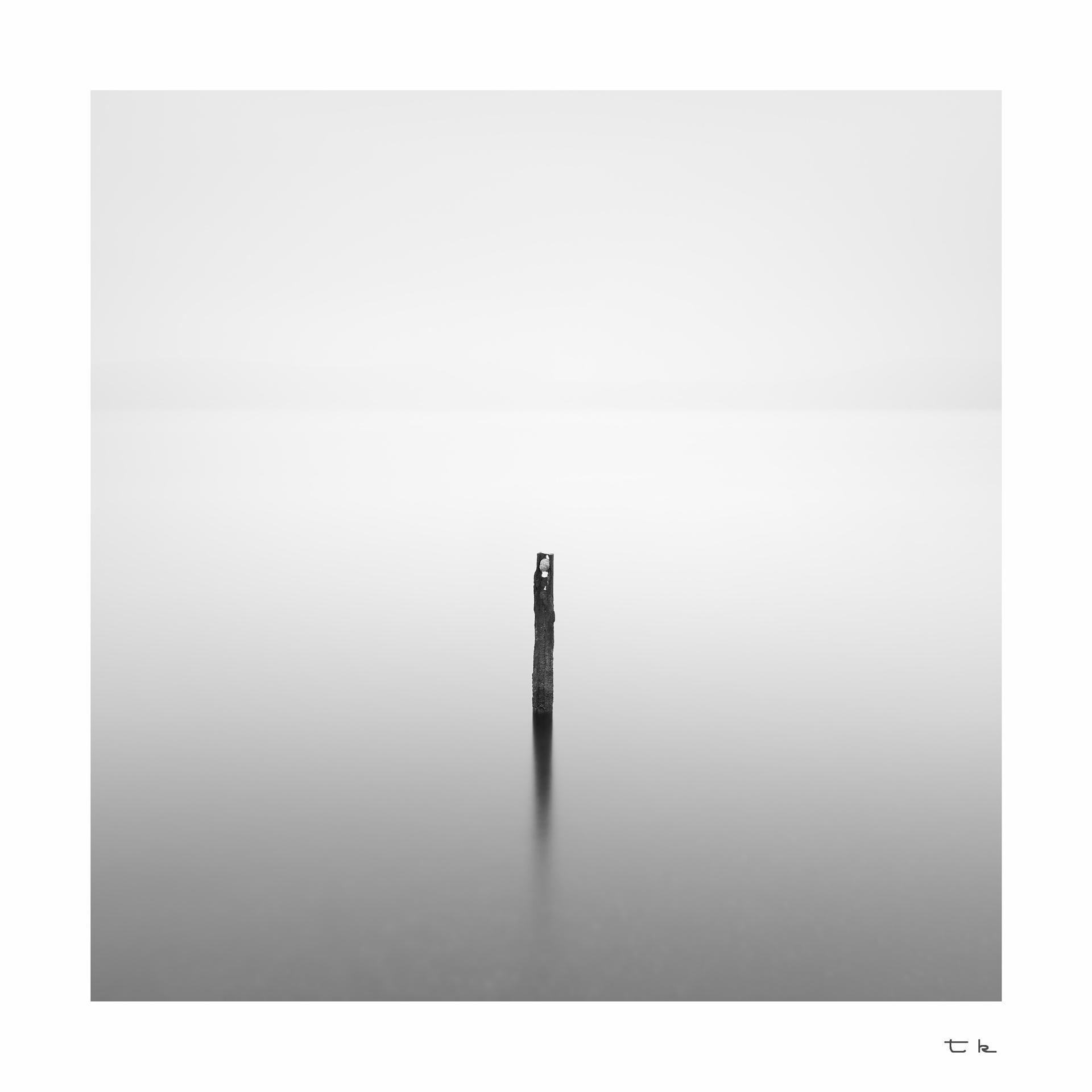 small mark in a vast sea