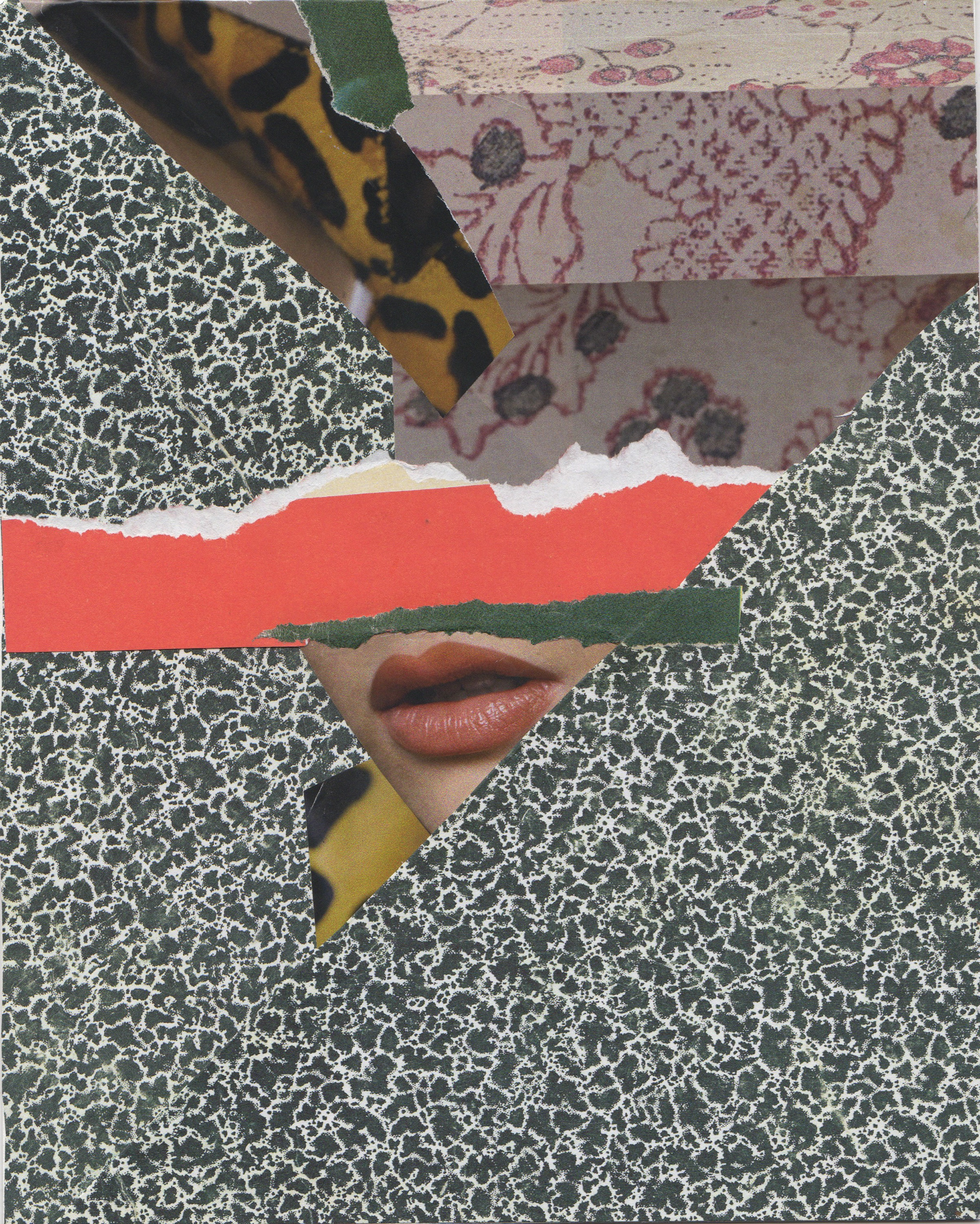 Collage art by Liz Georgi