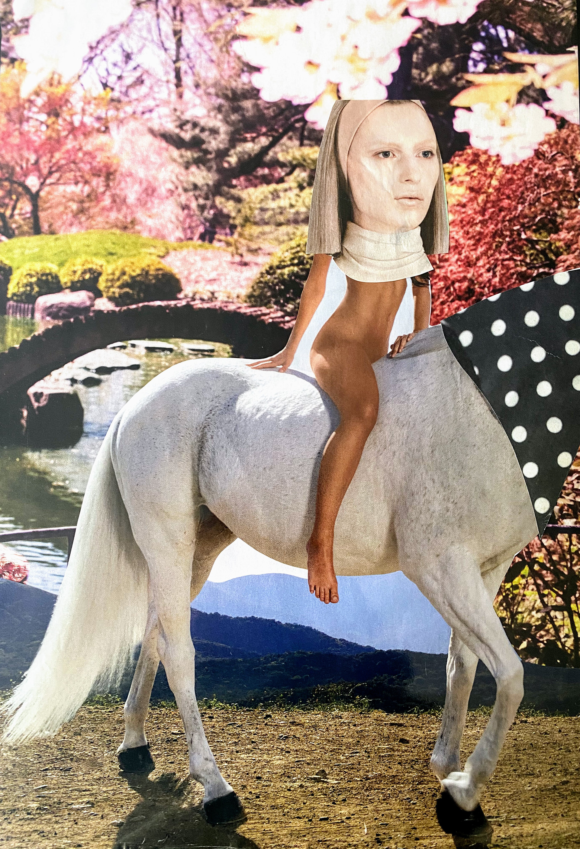 Collage art by Liz Georgi