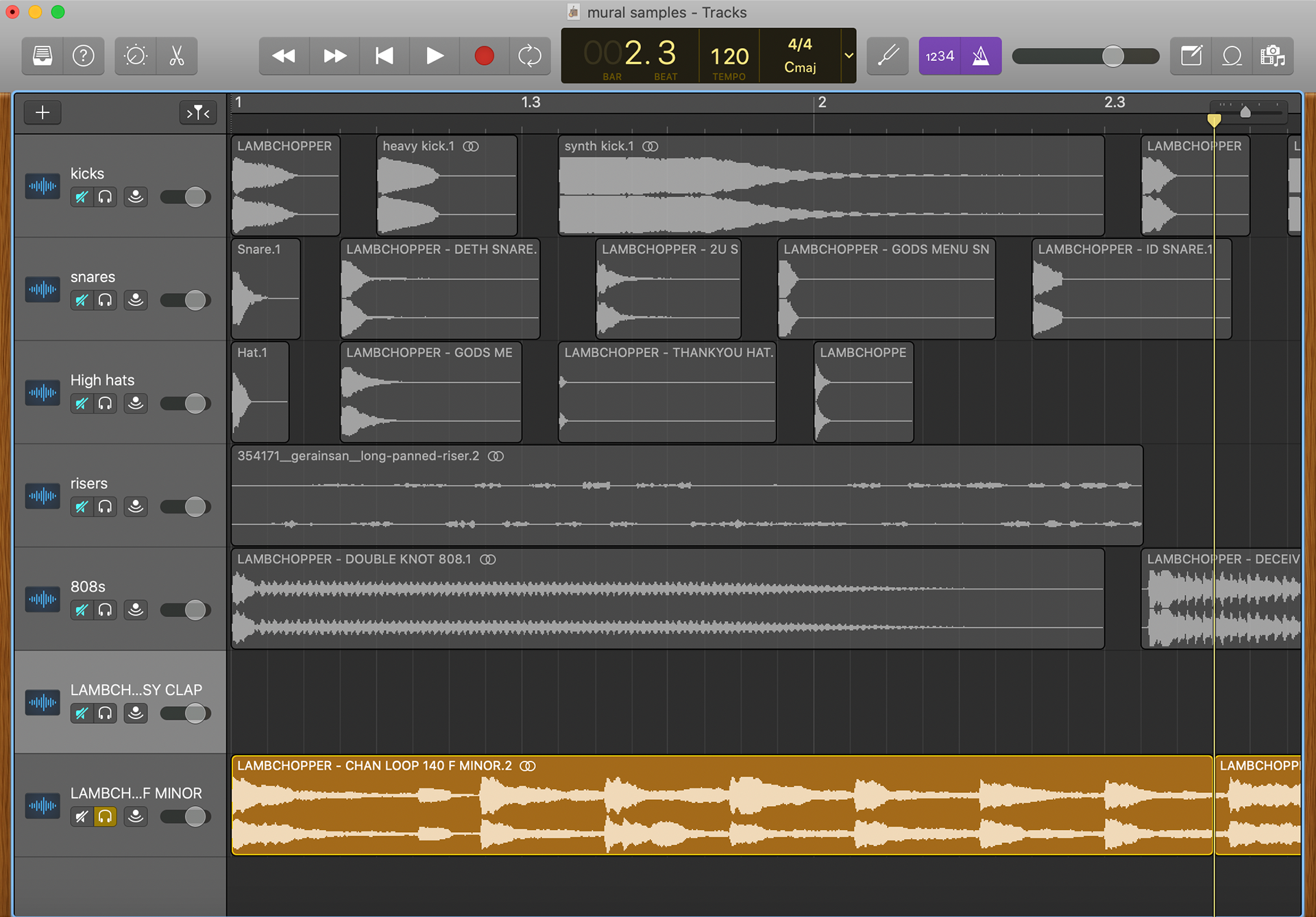 audio samples in DAW