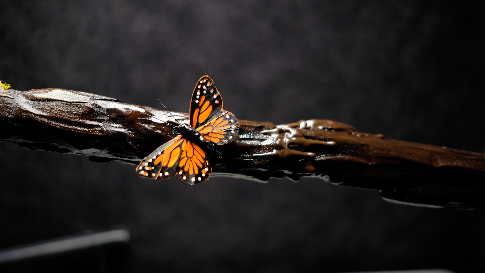 Enchanted Fae Staff - Butterfly