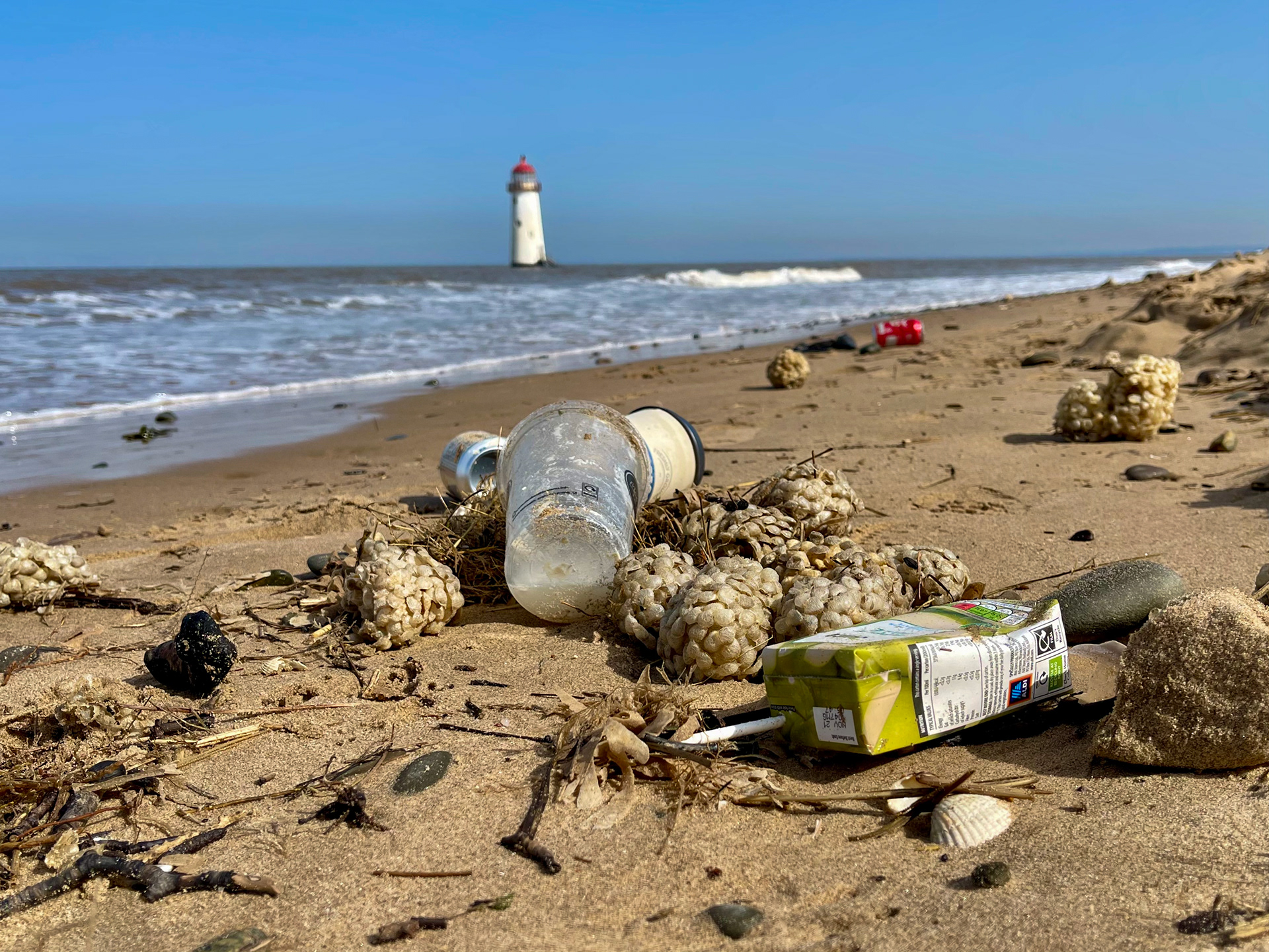 beach litter