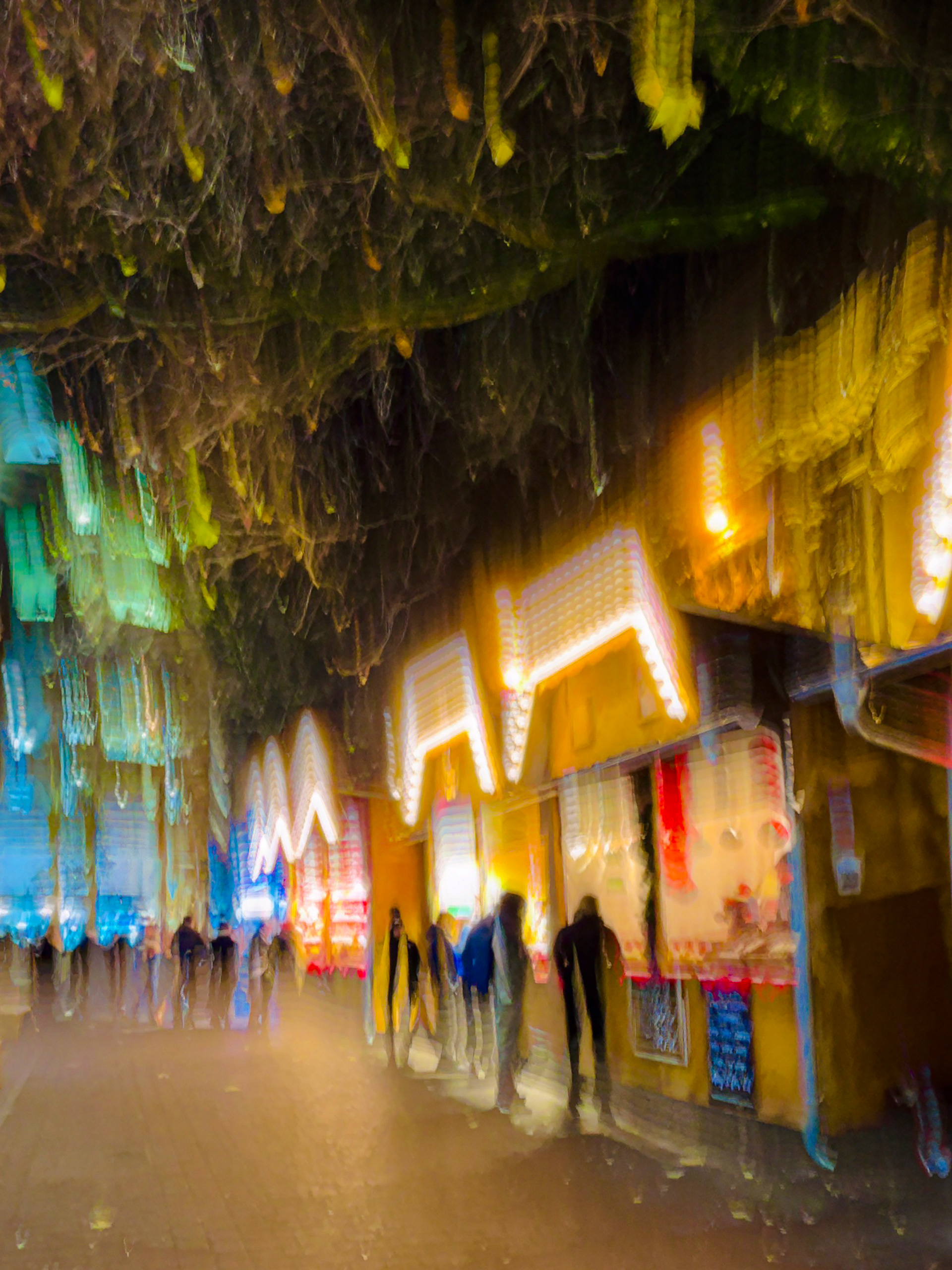 Christmas Lights © Adrian McGarry