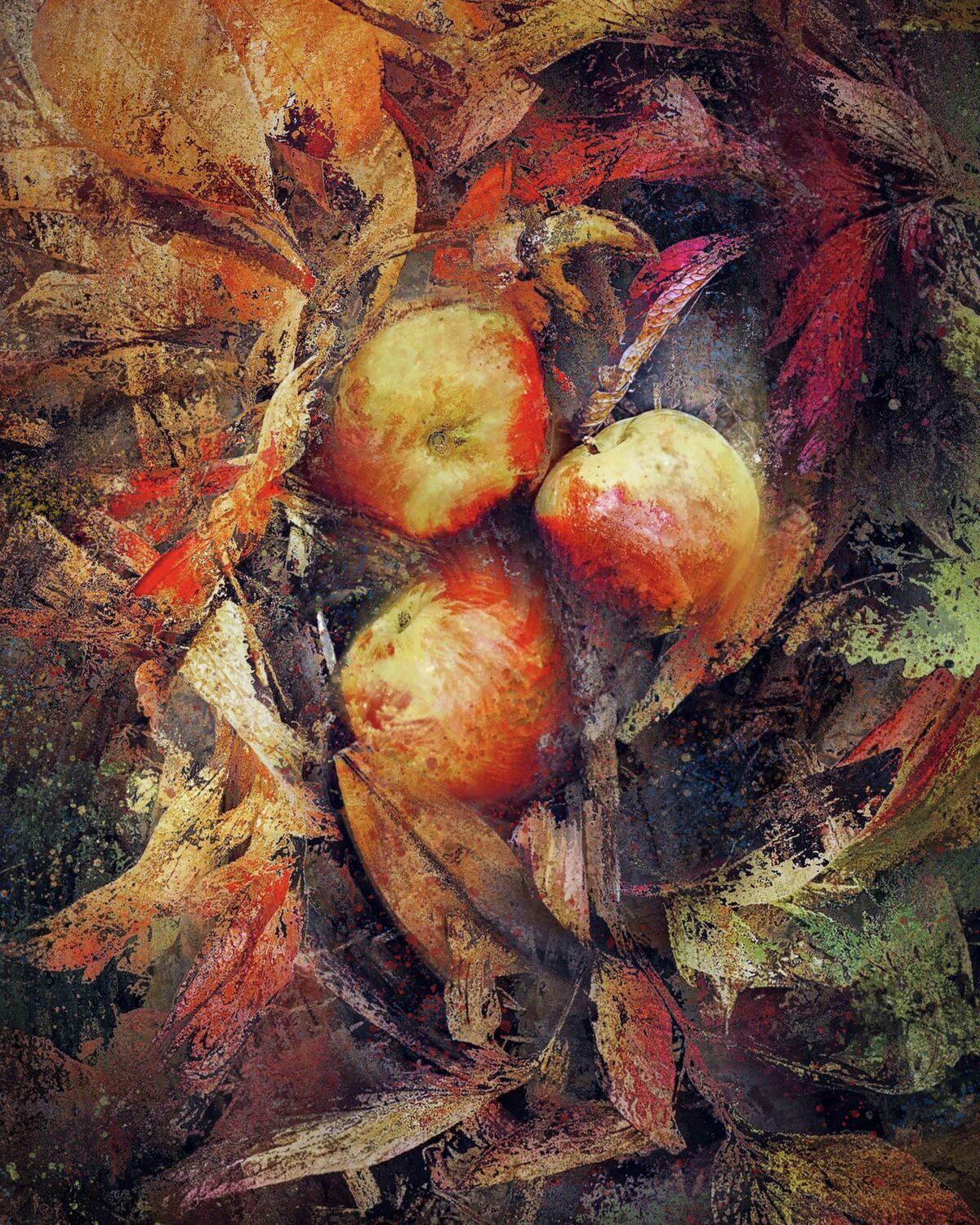 Orchard Floor Image by adrian McGarry