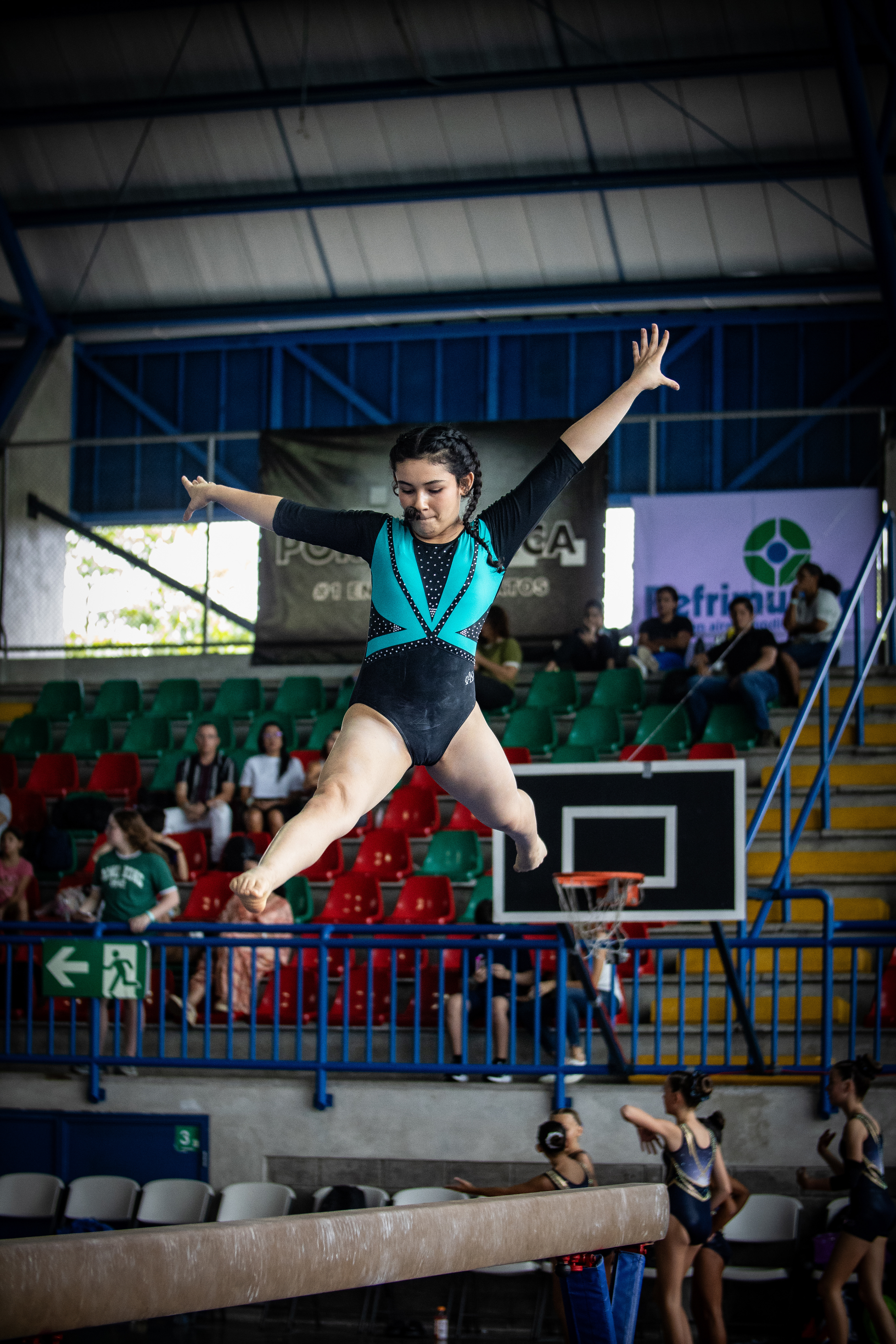 ©Neto's Cam
