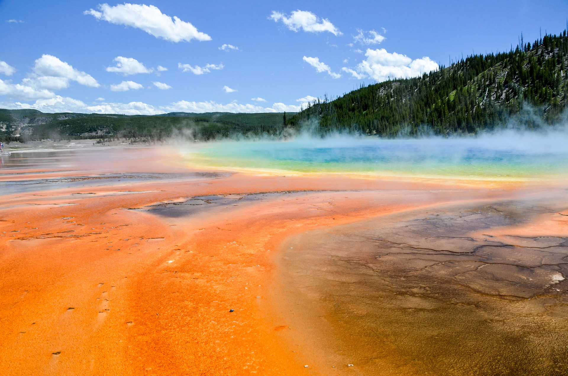 Steam rising above the bright colors of Grand Prismatic Spring
