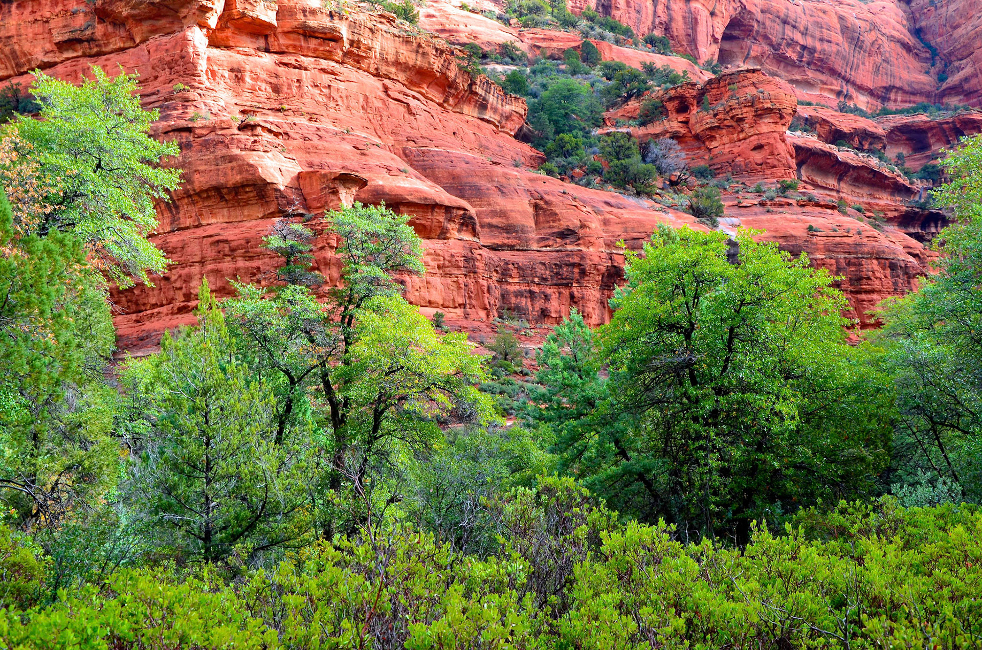Boynton Canyon Arizona in the Fall