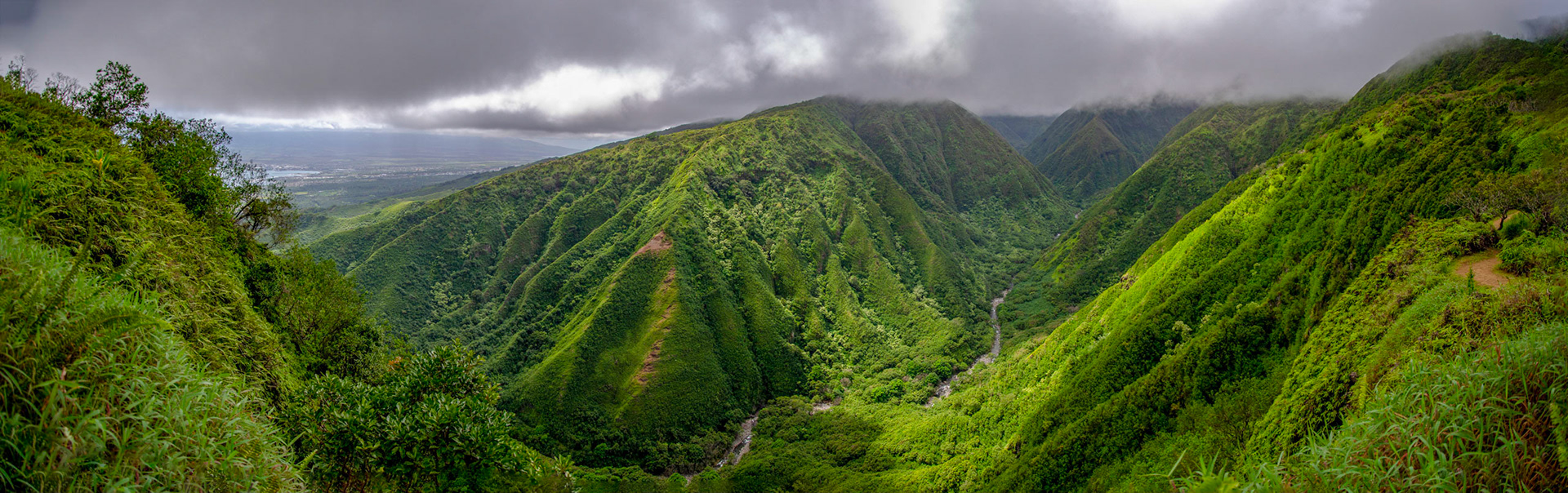 Panorama of a lush green valley in Hawaii with low clouds