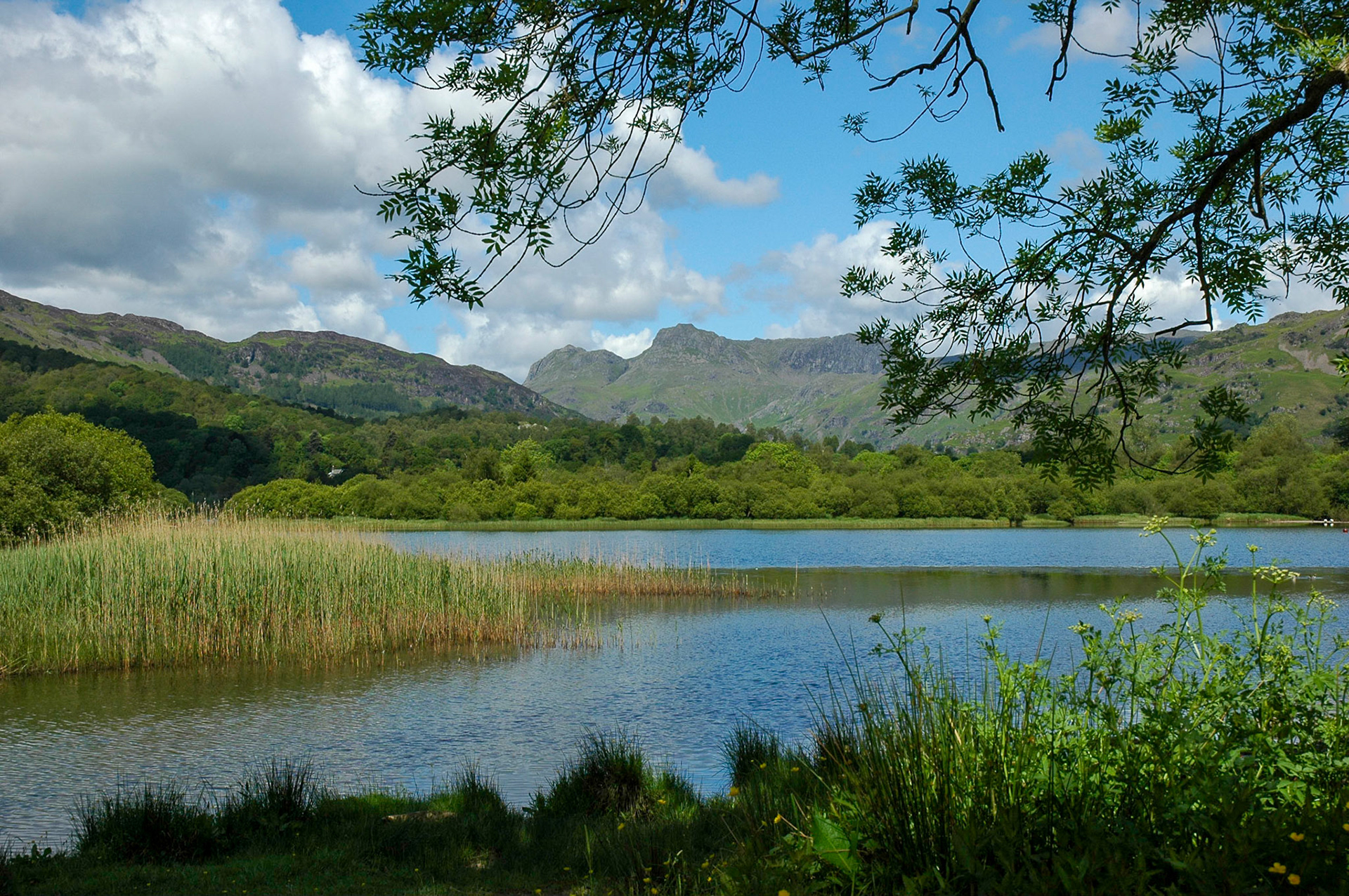The Langdale Pikes from Elterwater in the English Lake District