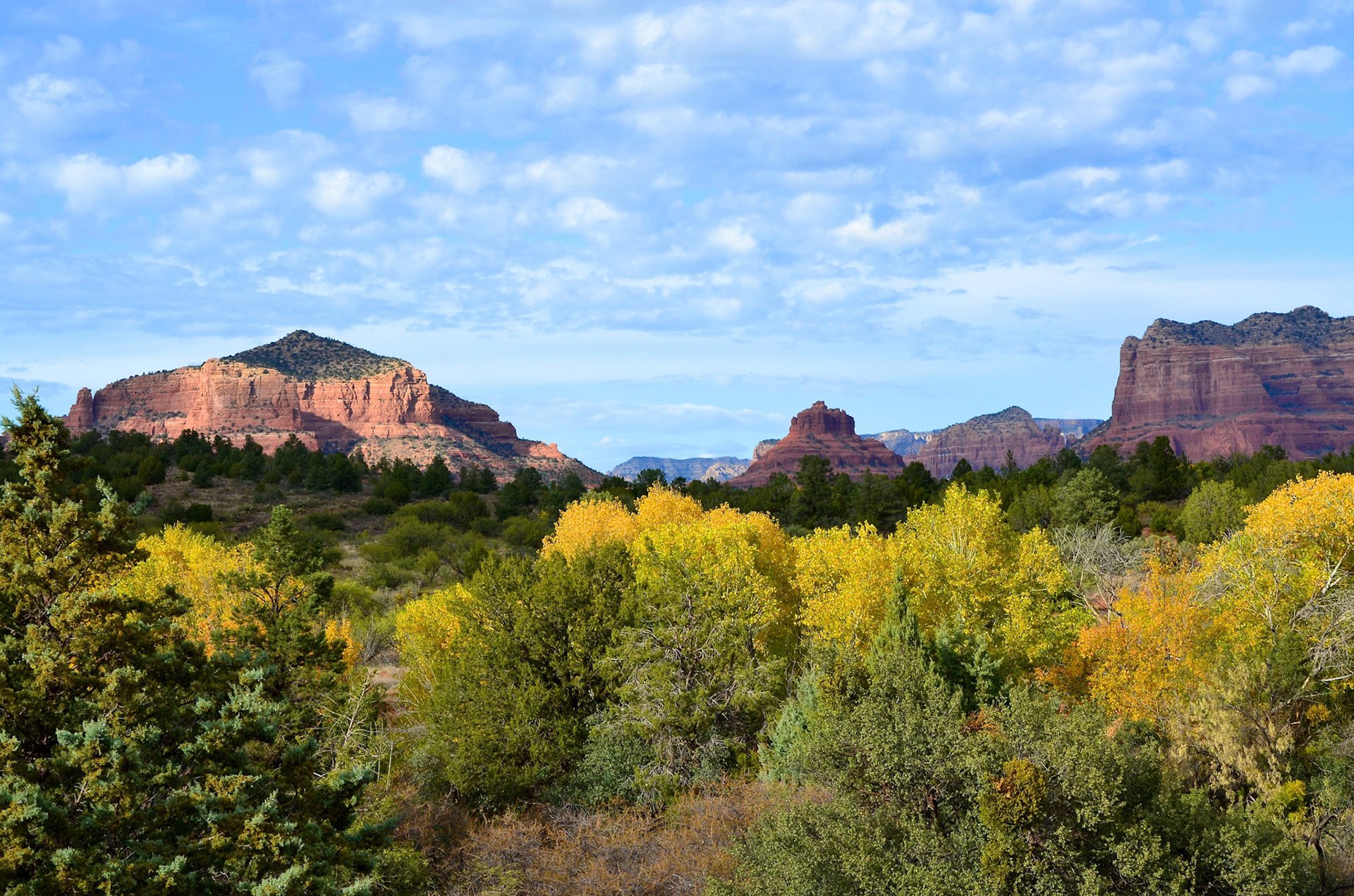 Bell Rock and Courthouse Butte with trees in fall colors, in Sedona Arizona