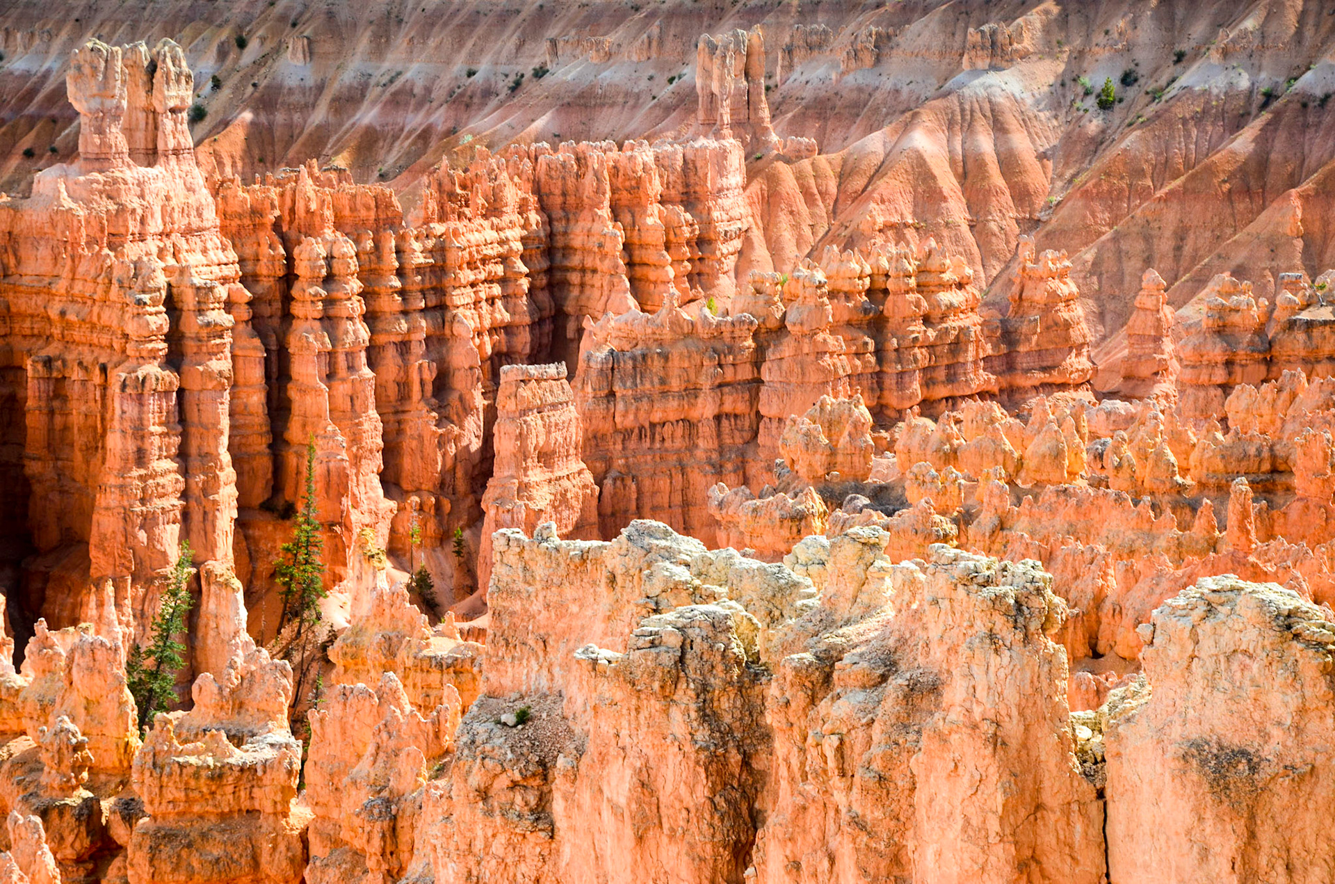 Close view of hoodoos in Bryce Canyon National Park, Utah