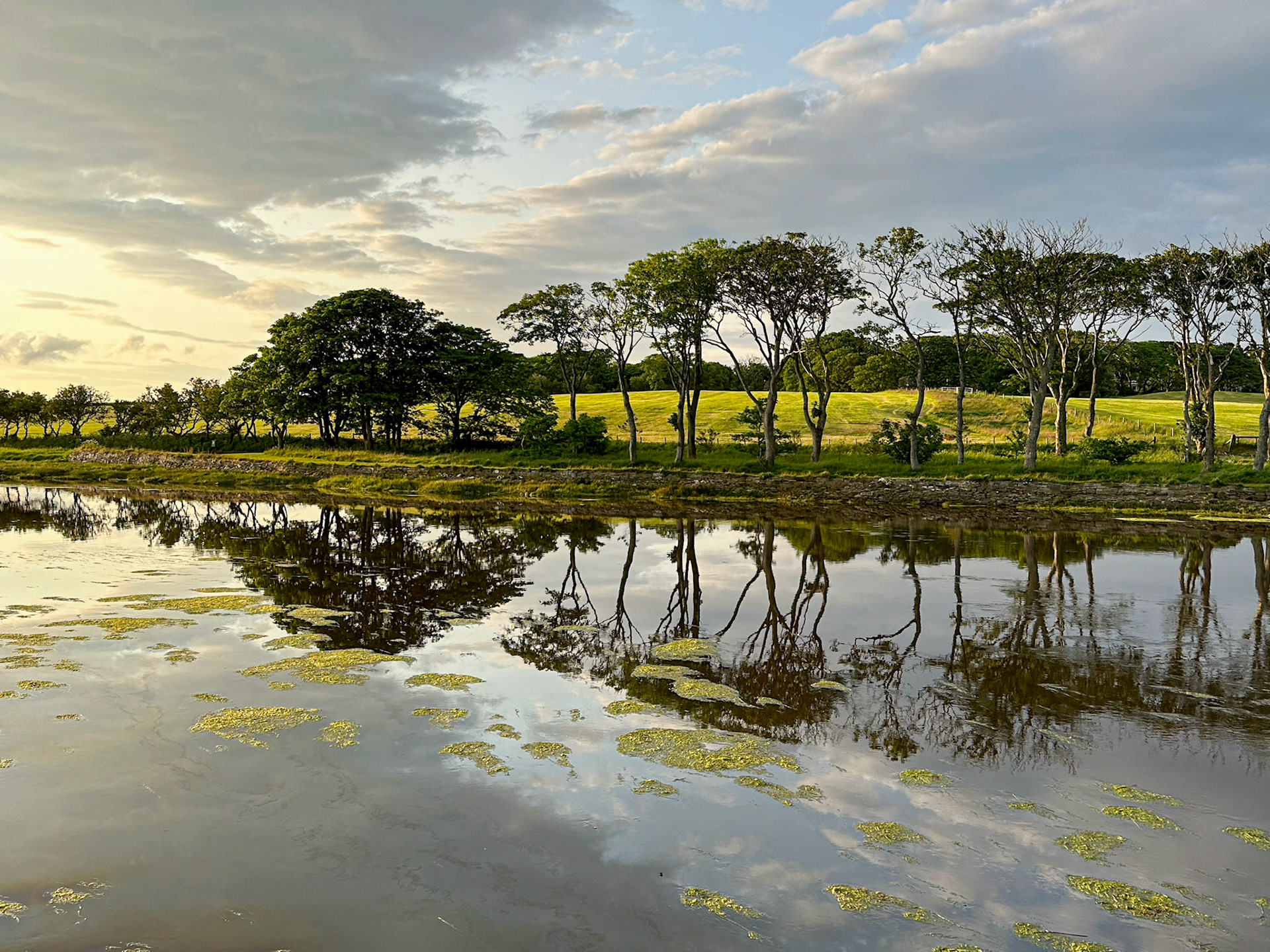 Trees reflected in the River Wick, Scotland