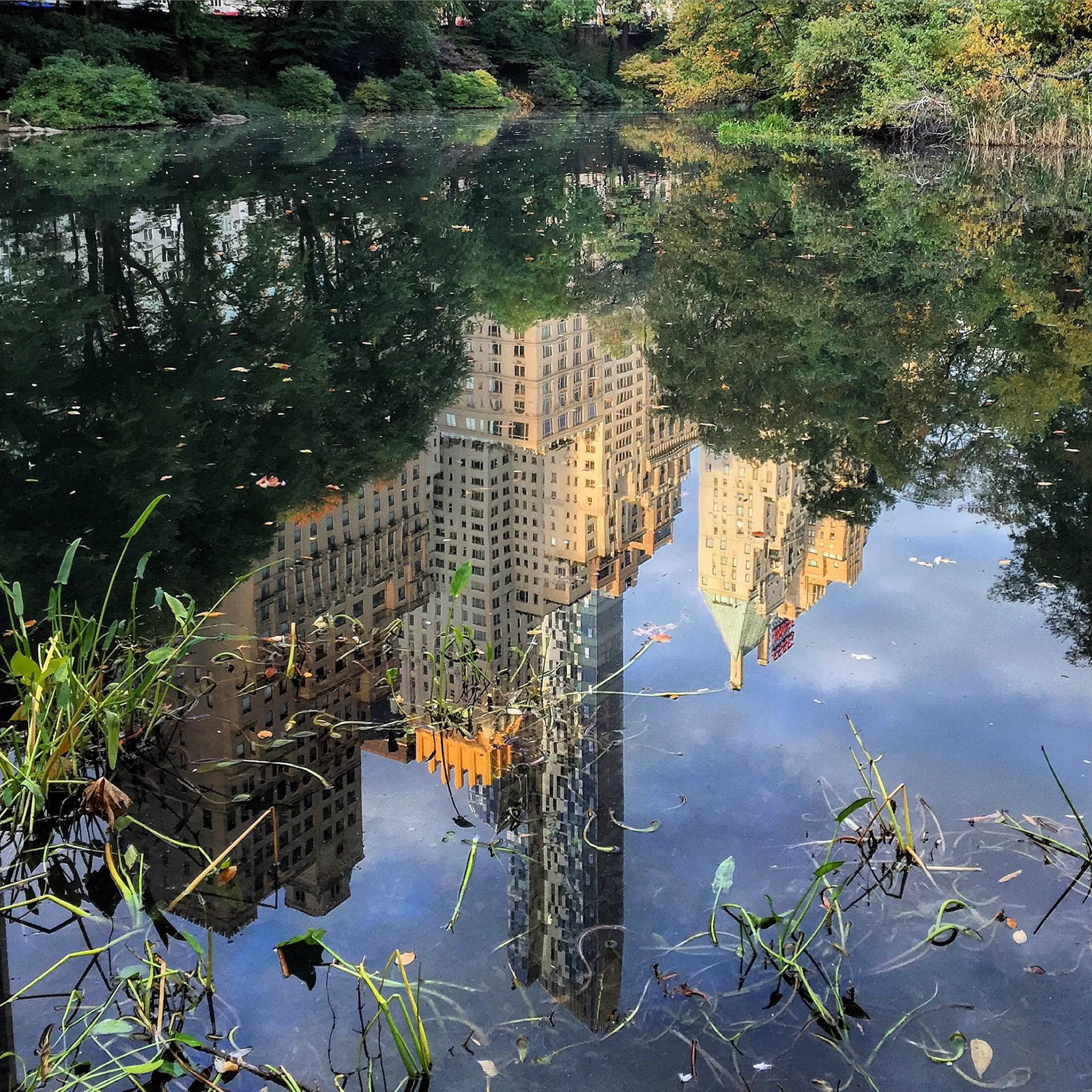 Central Park South reflected in The Pond in Central Park, New York