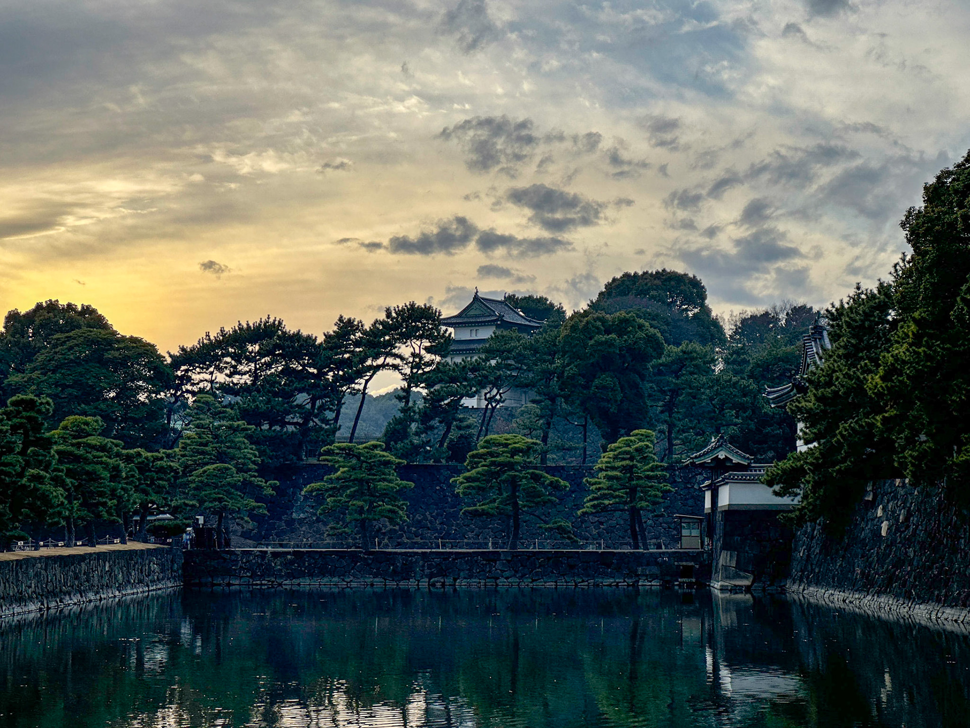 Buildings and trees at the Imperial Palace, Tokyo