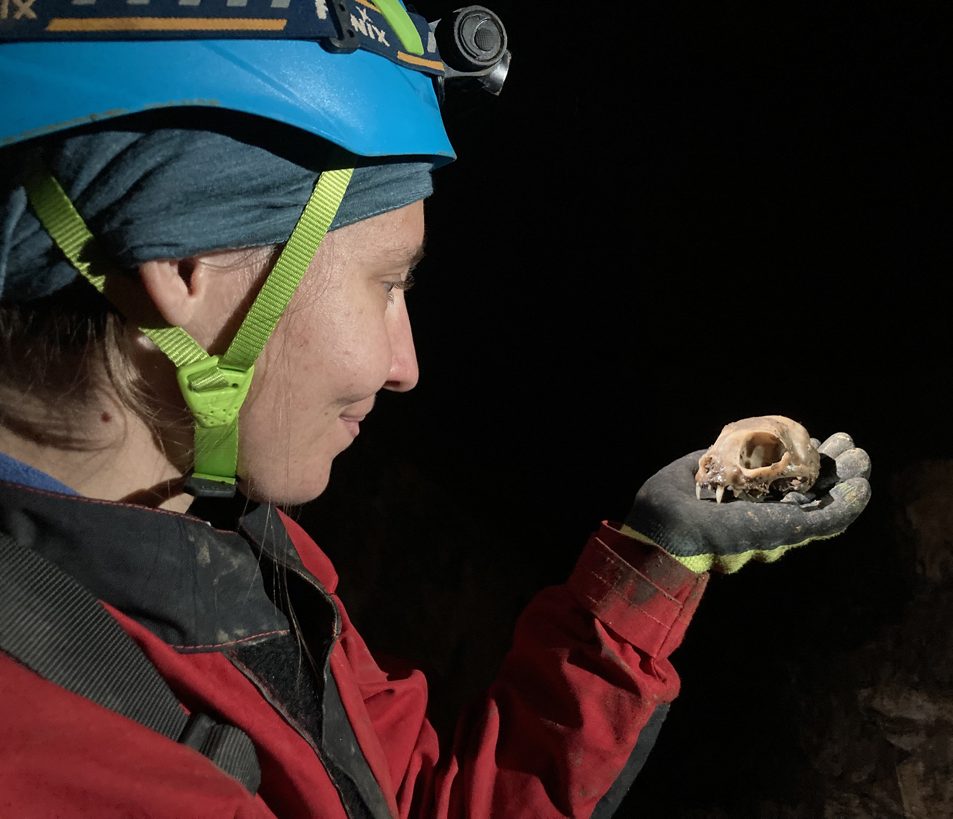 marten skull