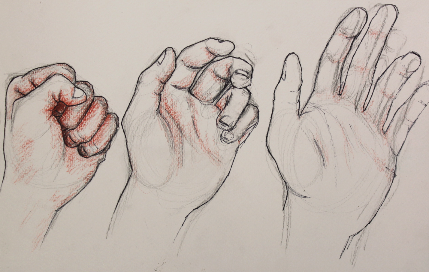 Hand Study - 2017