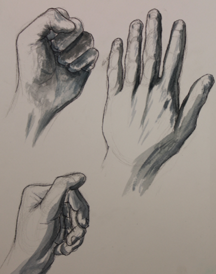 Hand Study - 2017