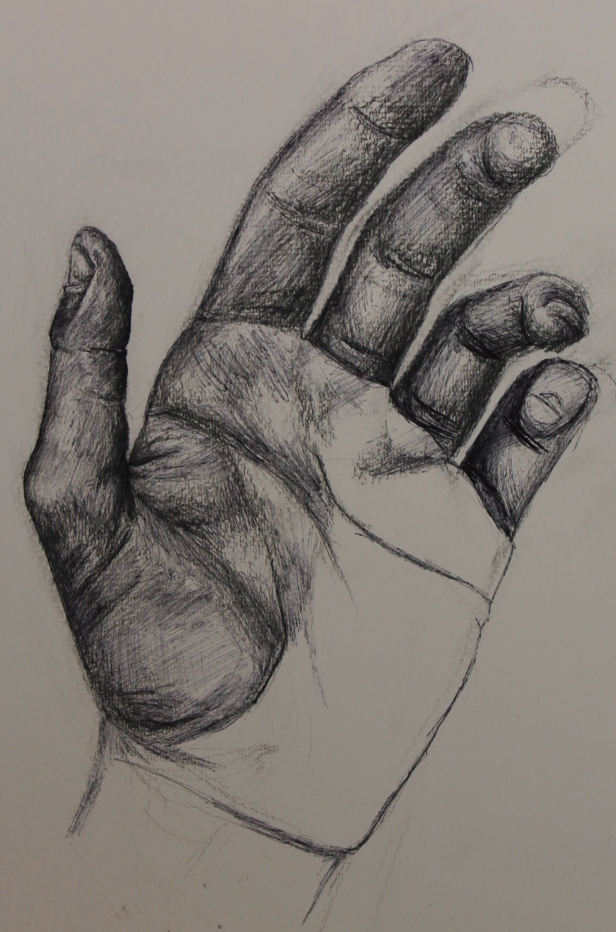 Hand Study - 2017