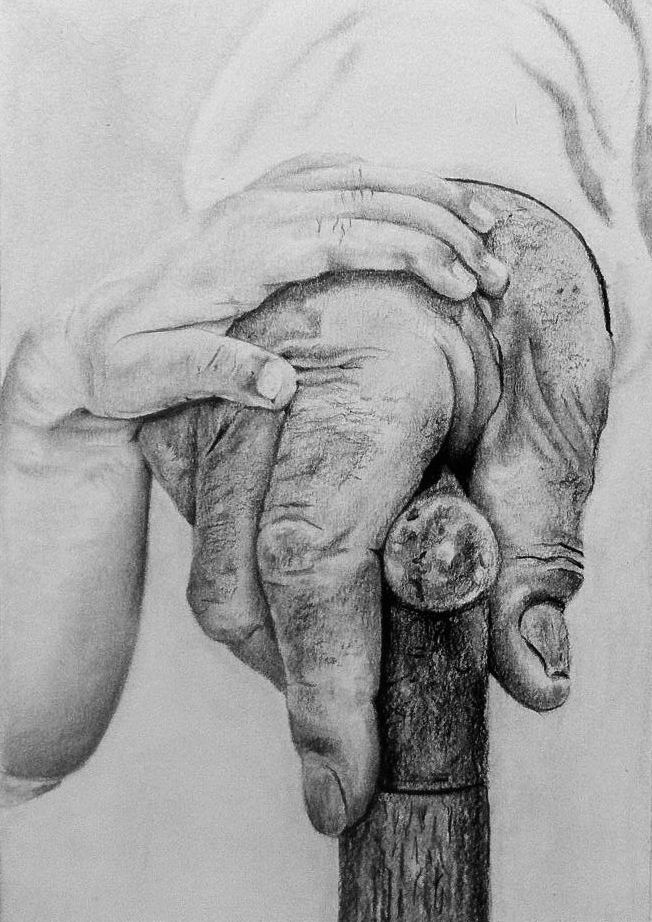Young and Old Hand Study - 2014