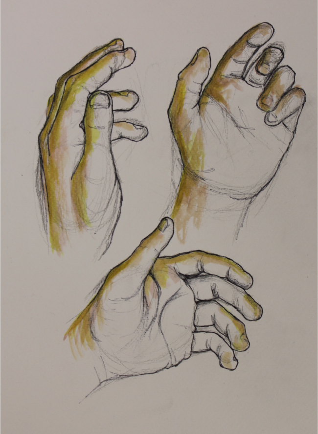 Hand Study - 2017