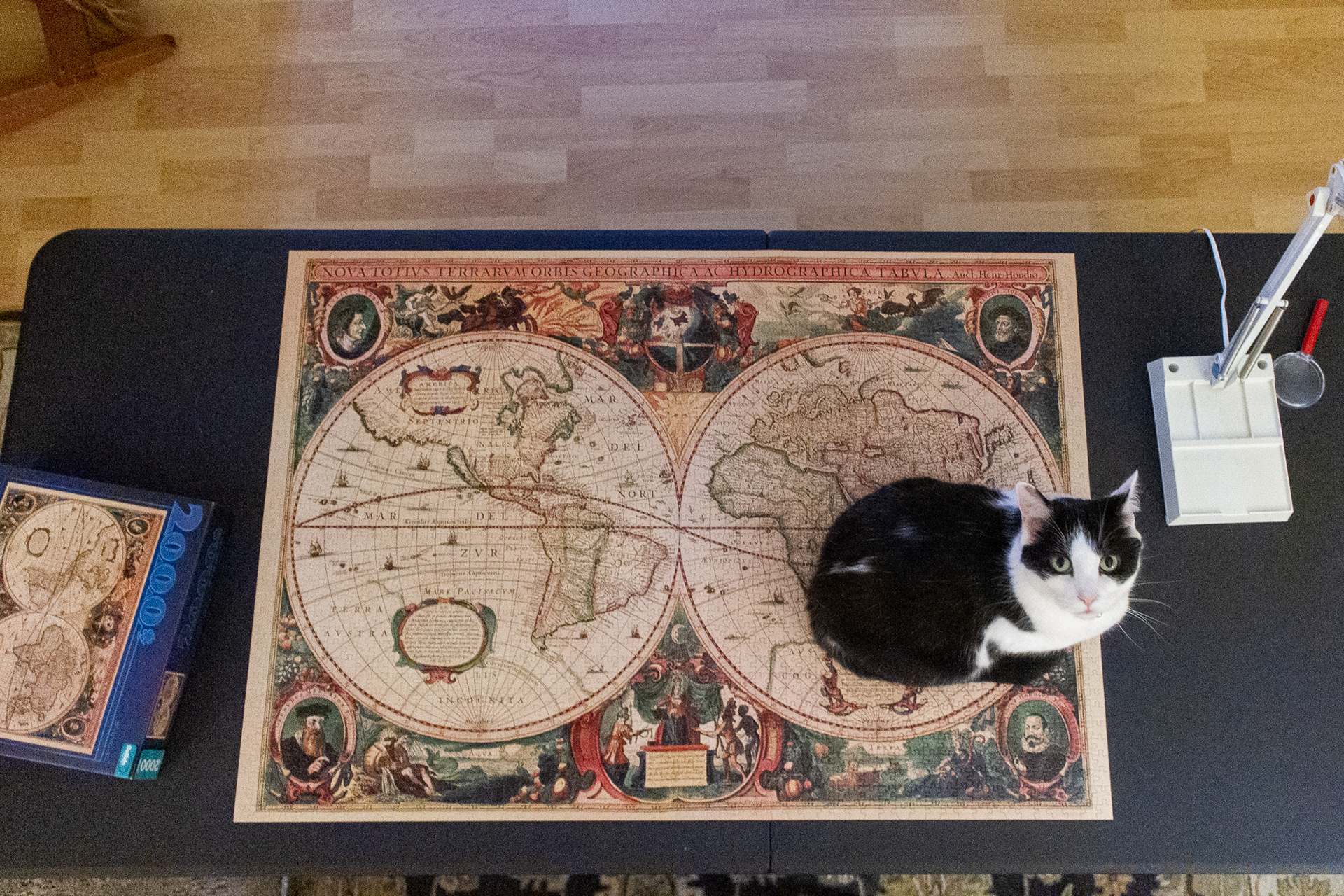 A housecat sits atop a completed puzzle in Charlotte, N.C., May 2, 2020. When coronavirus lockdown orders kept people inside, this family turned to puzzles as a diversion.