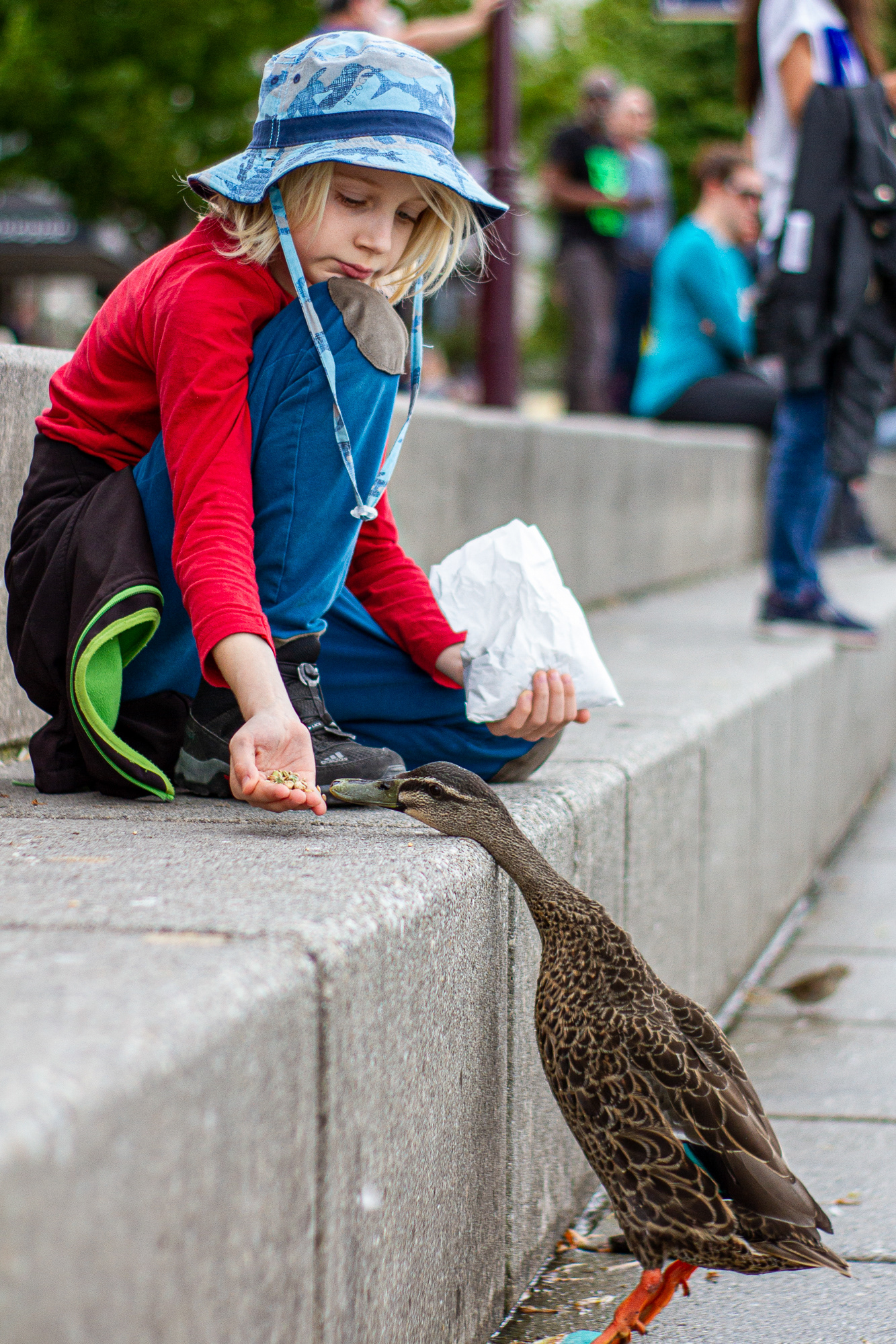 A young girl feed a duck on the edge of Lake Wakatipu in Queenstown, New Zealand.