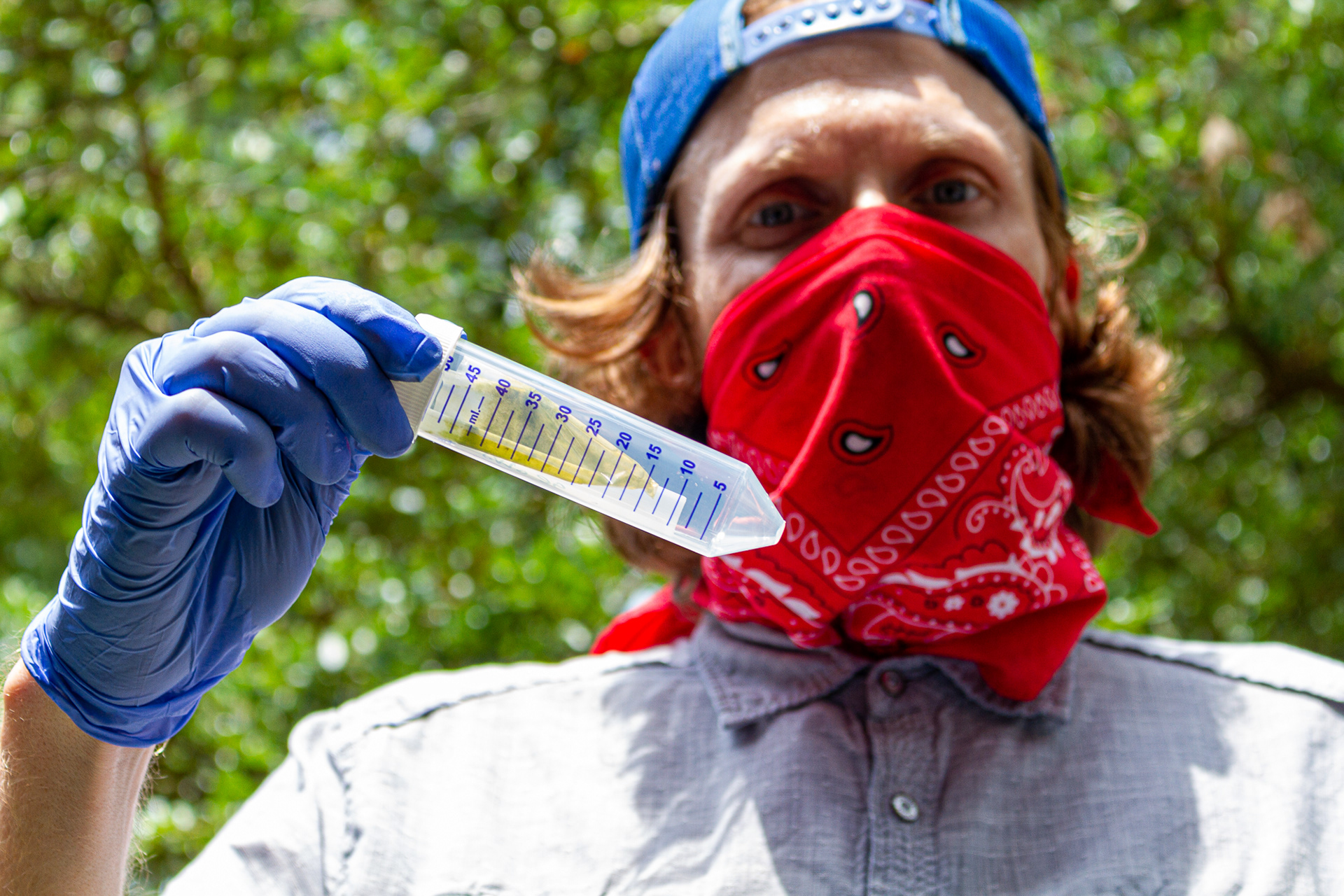 Ryan Paerl, a researcher at the IMS, holds a filter sample in Edenton, N.C., July 7, 2020. The filter used to collect sediment from a sample of river water is stained green from cyanobacteria.