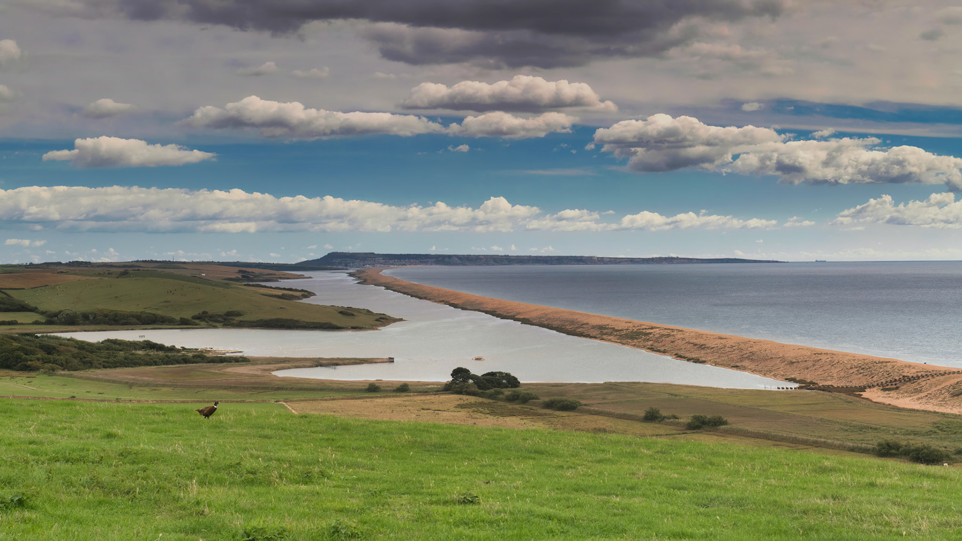 View over the Fleet
