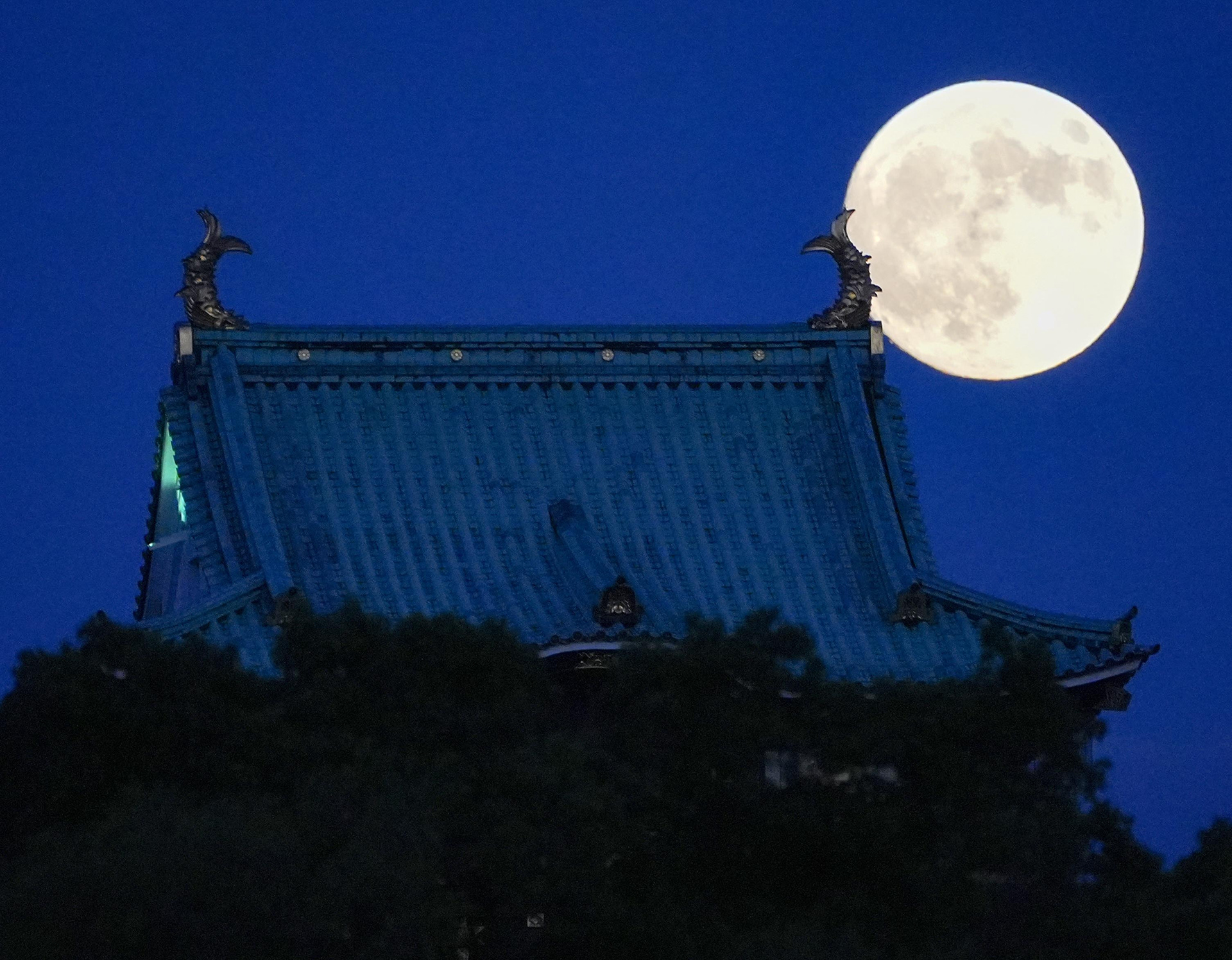 Osaka Castle, 2024