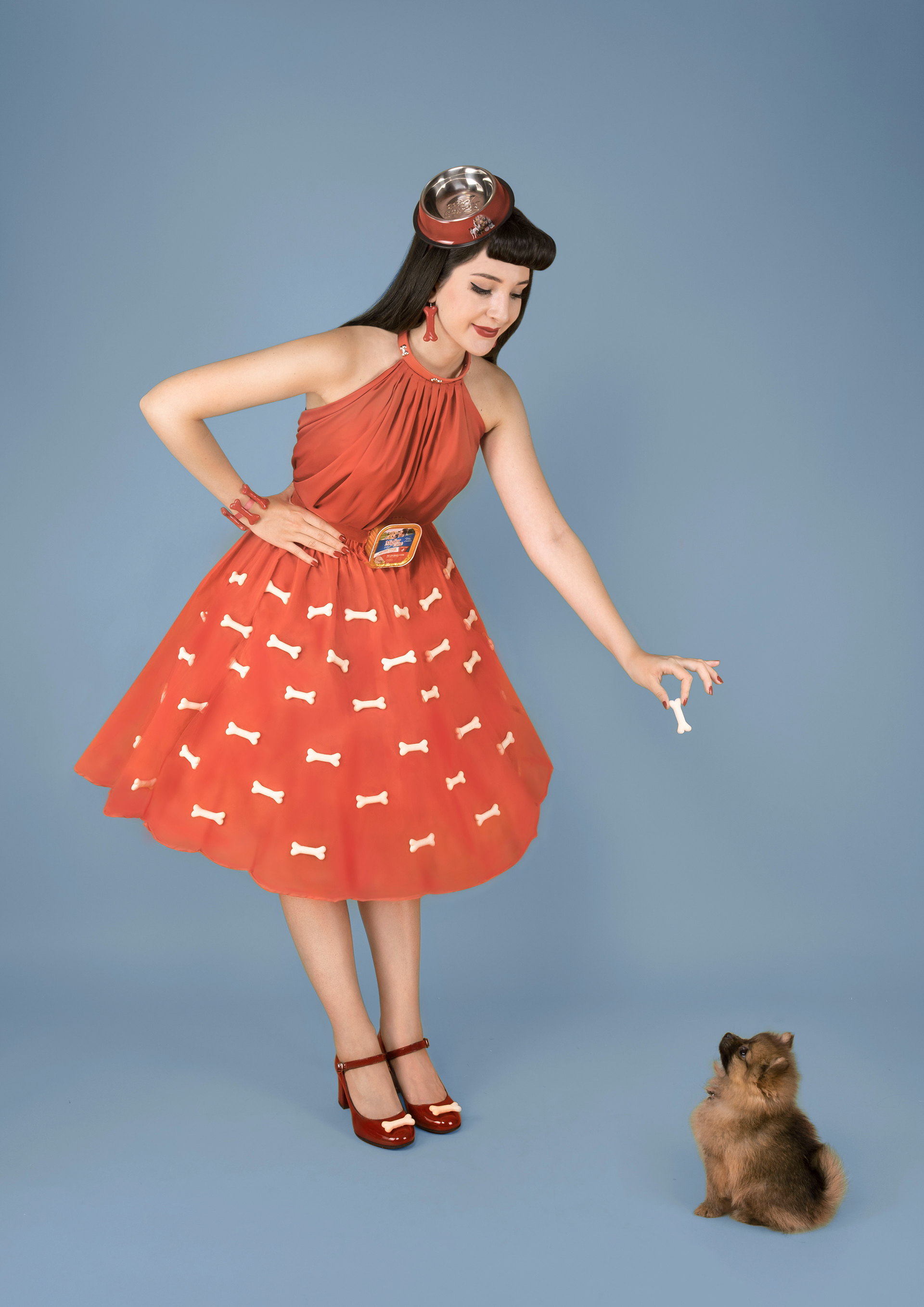 Articoli per cani, Moda Pandemica, 2020