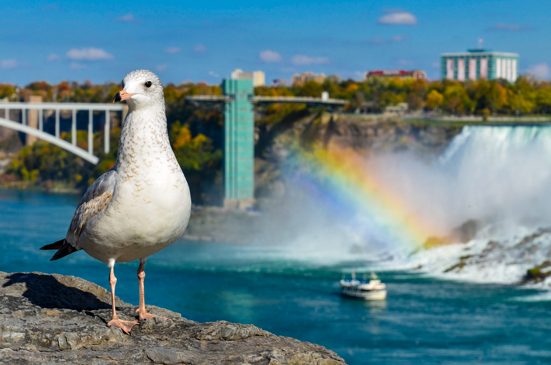Niagara Falls - Ontario - Canada