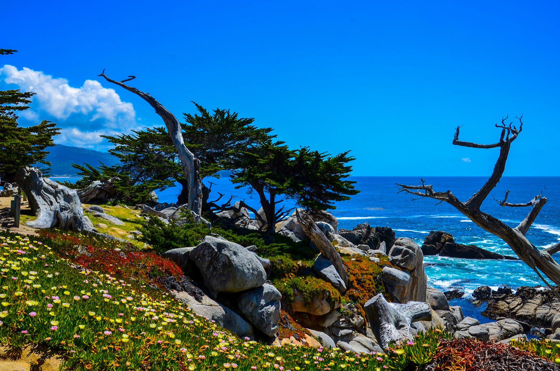 17-Mile-Drive - Pebble Beach -  California - USA