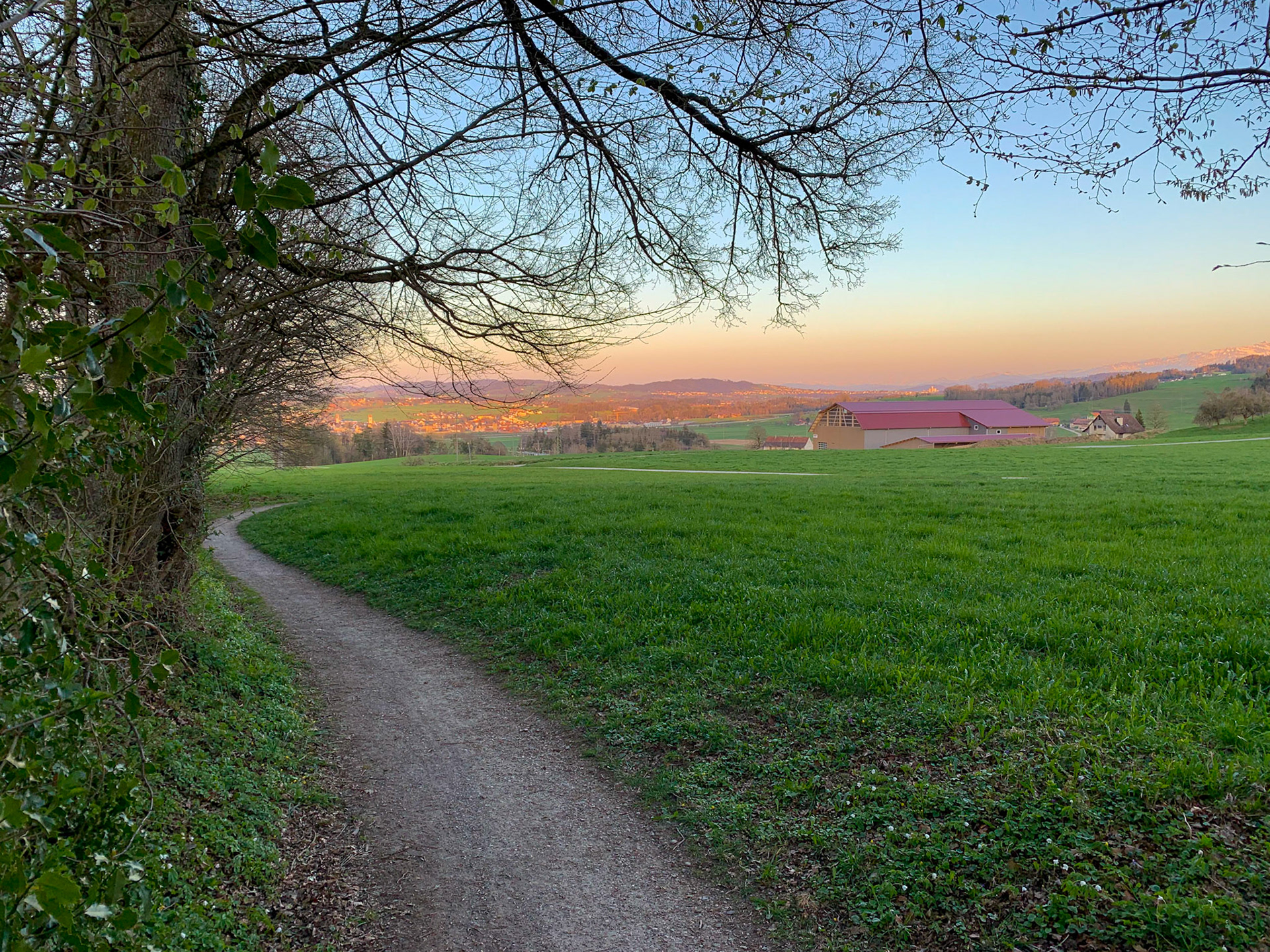 Unterwegs am Waldrand - Schweiz