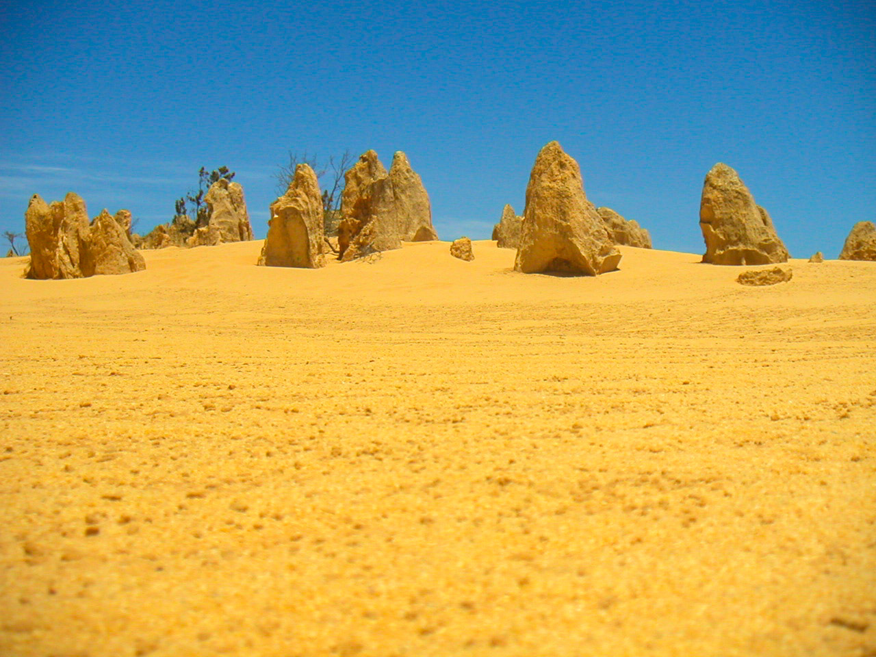 Pinnacles Nambung National Park Western Australia