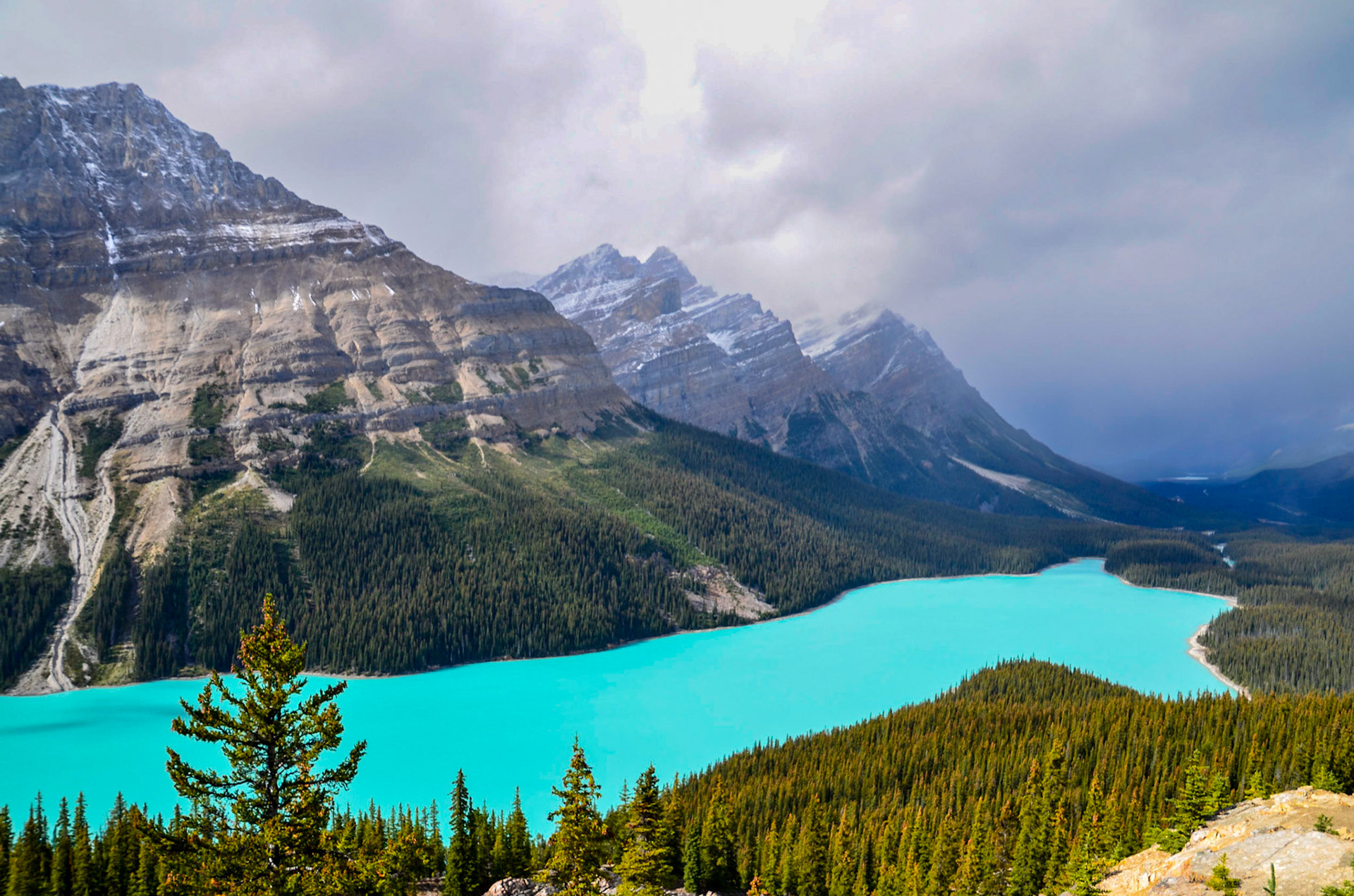 Peyto Lake - Banff National Park - Alberta - Canada
