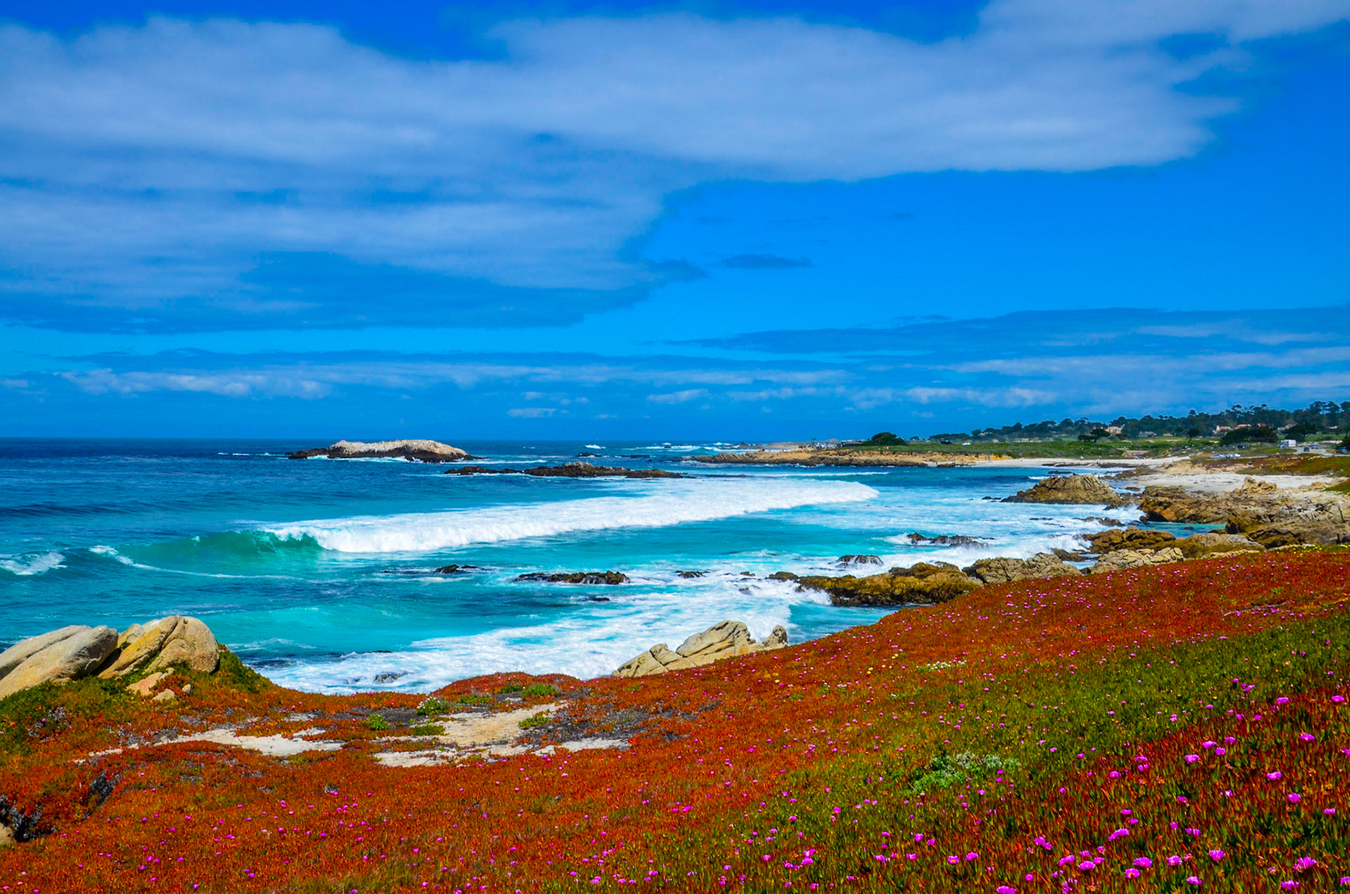 17-Mile-Drive - Pebble Beach -  California - USA