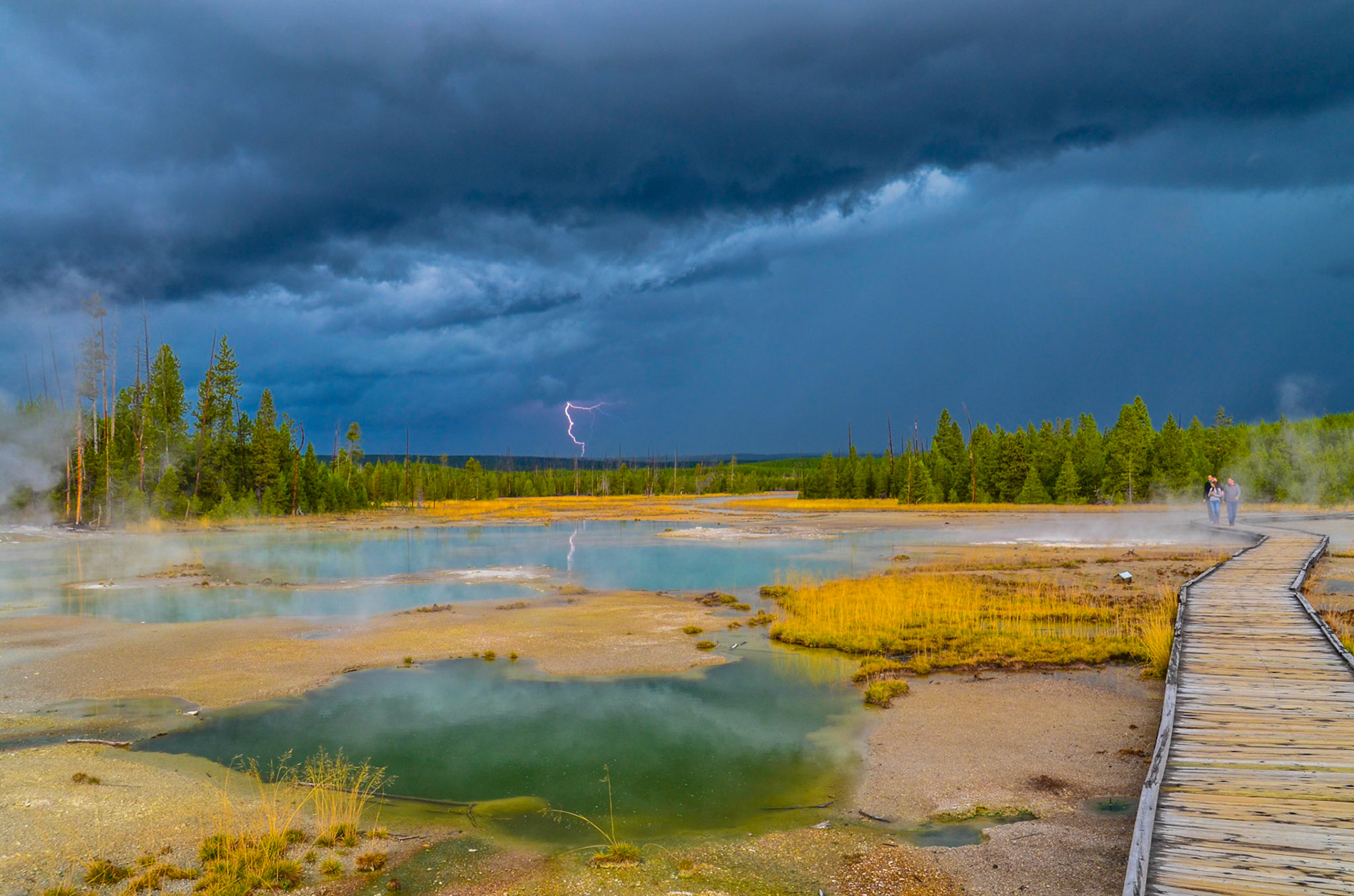 Norris Geysir Basin, Yellowstone National Park
