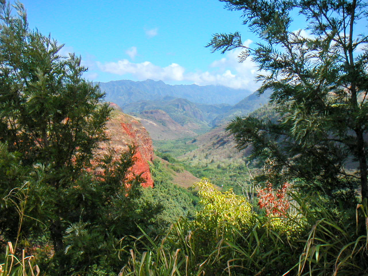 Waimea Canyon State Park Kauai Hawaii USA