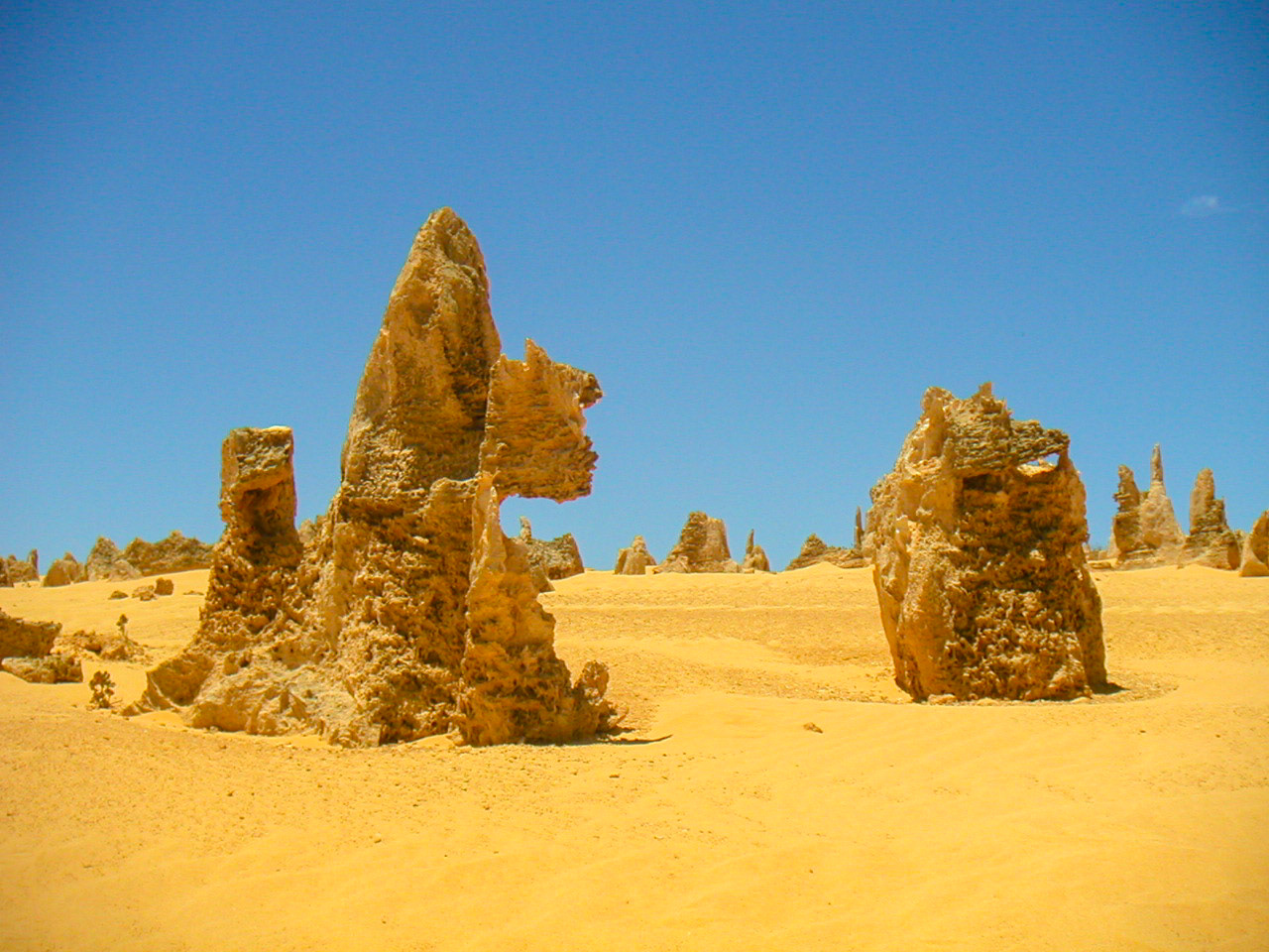 Pinnacles Nambung National Park Western Australia